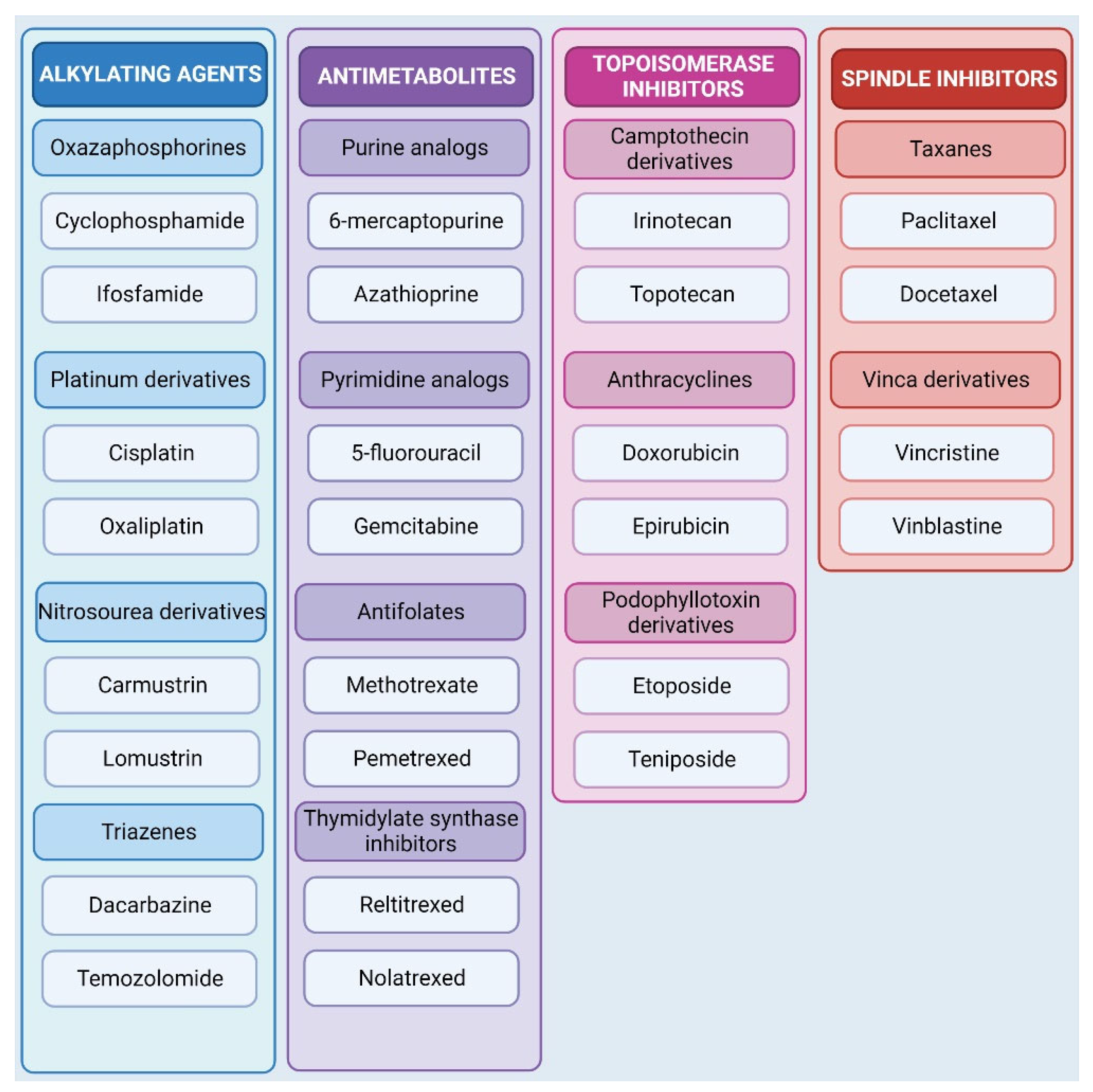 Cells 12 00986 g001 Cells 12 00986 g001