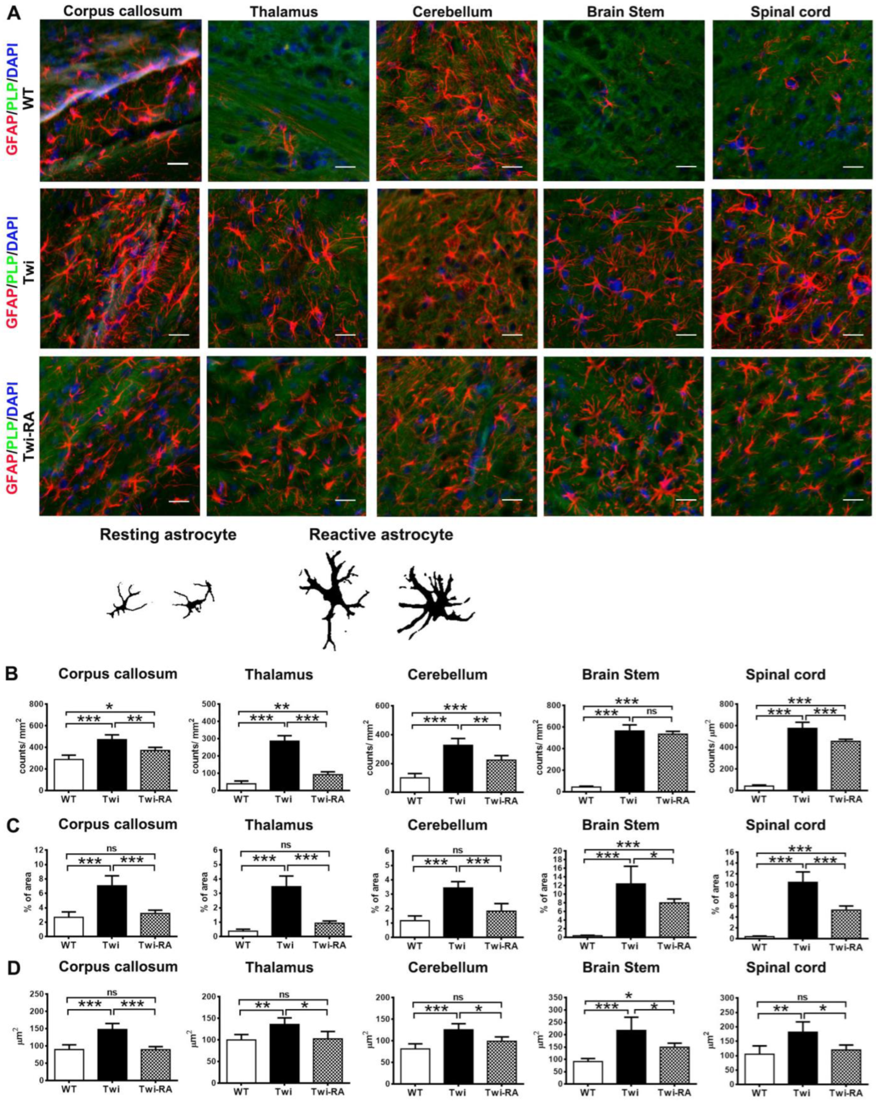 Cells 12 00993 g005 Cells 12 00993 g005