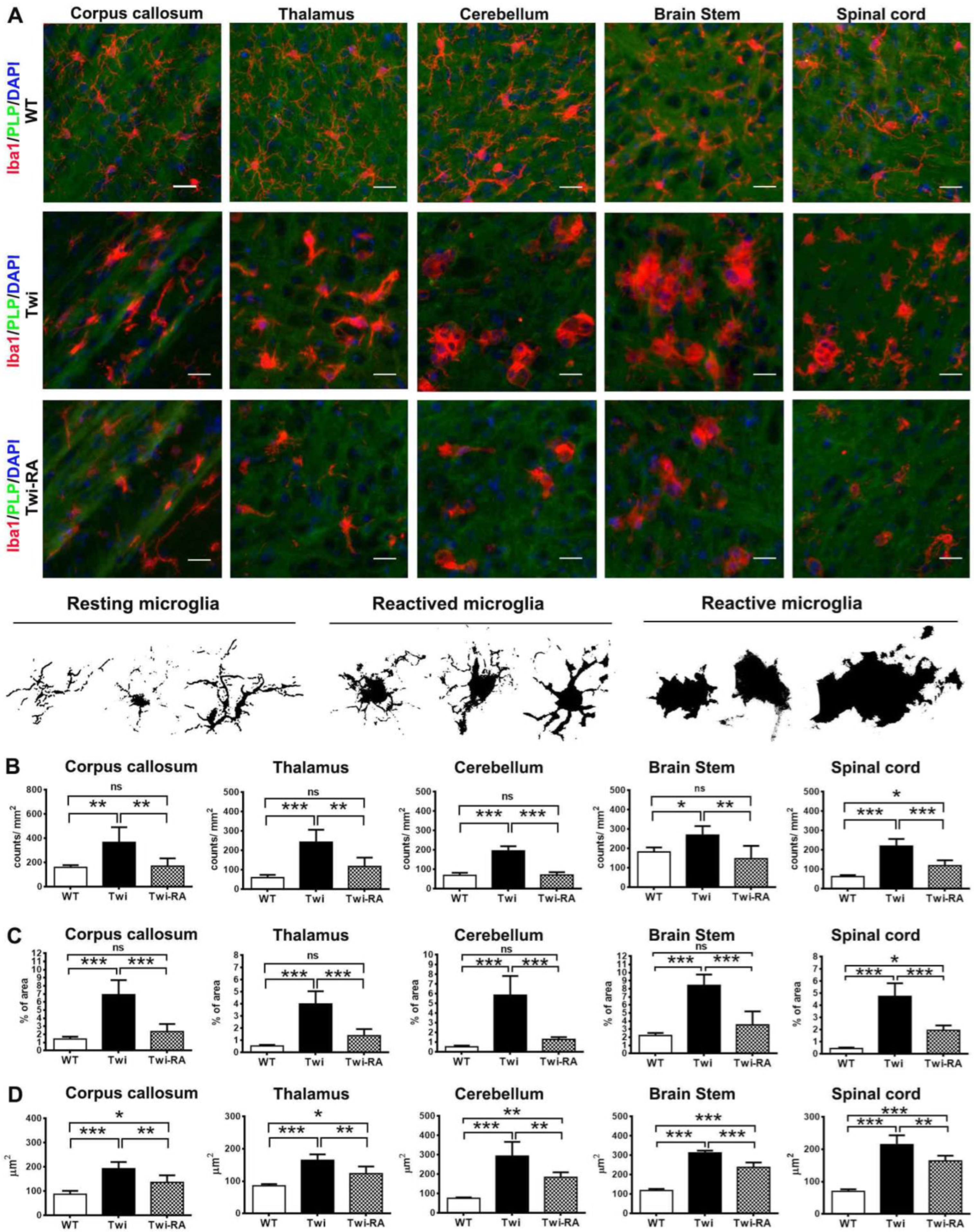 Cells 12 00993 g006 Cells 12 00993 g006