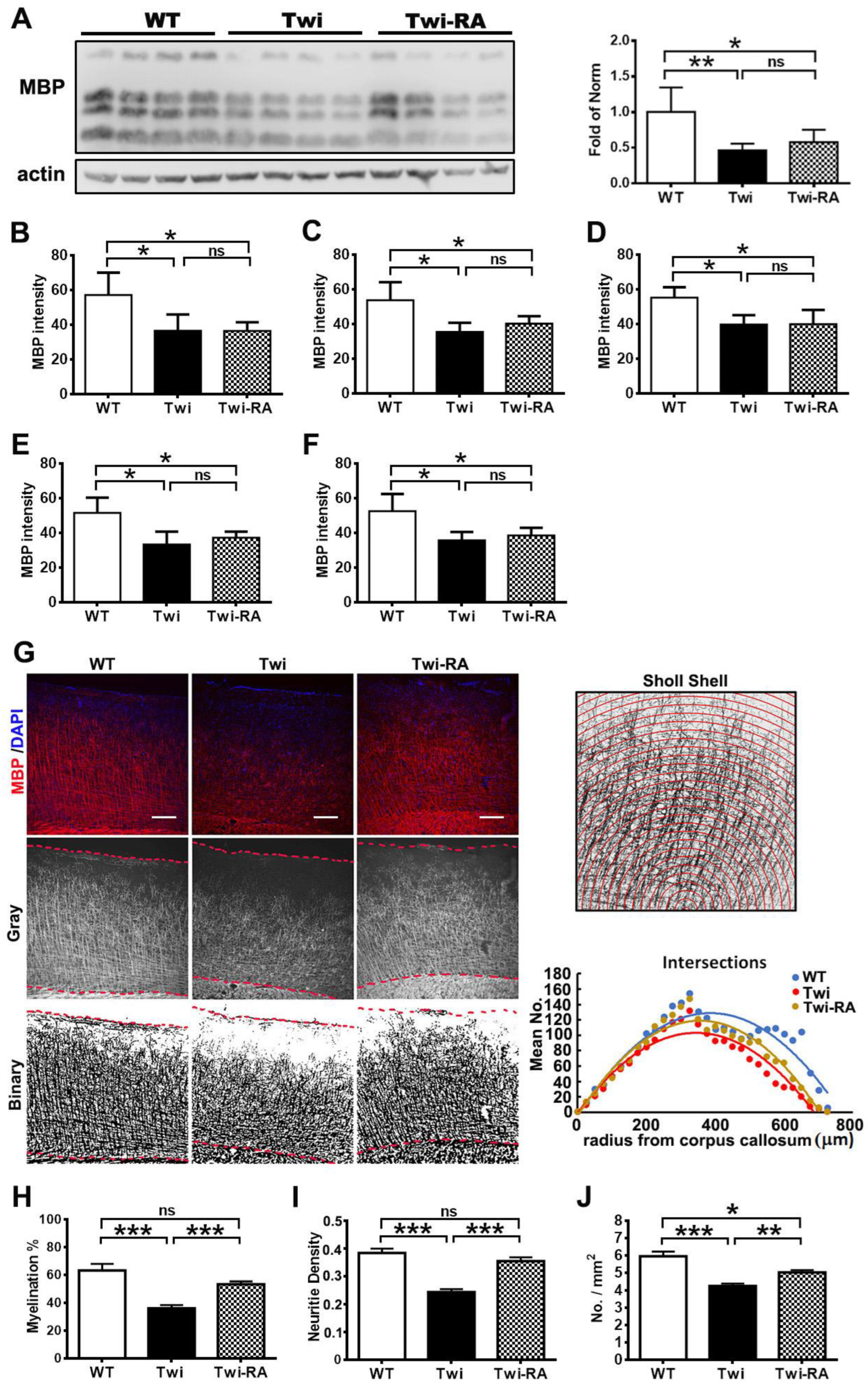 Cells 12 00993 g007 Cells 12 00993 g007