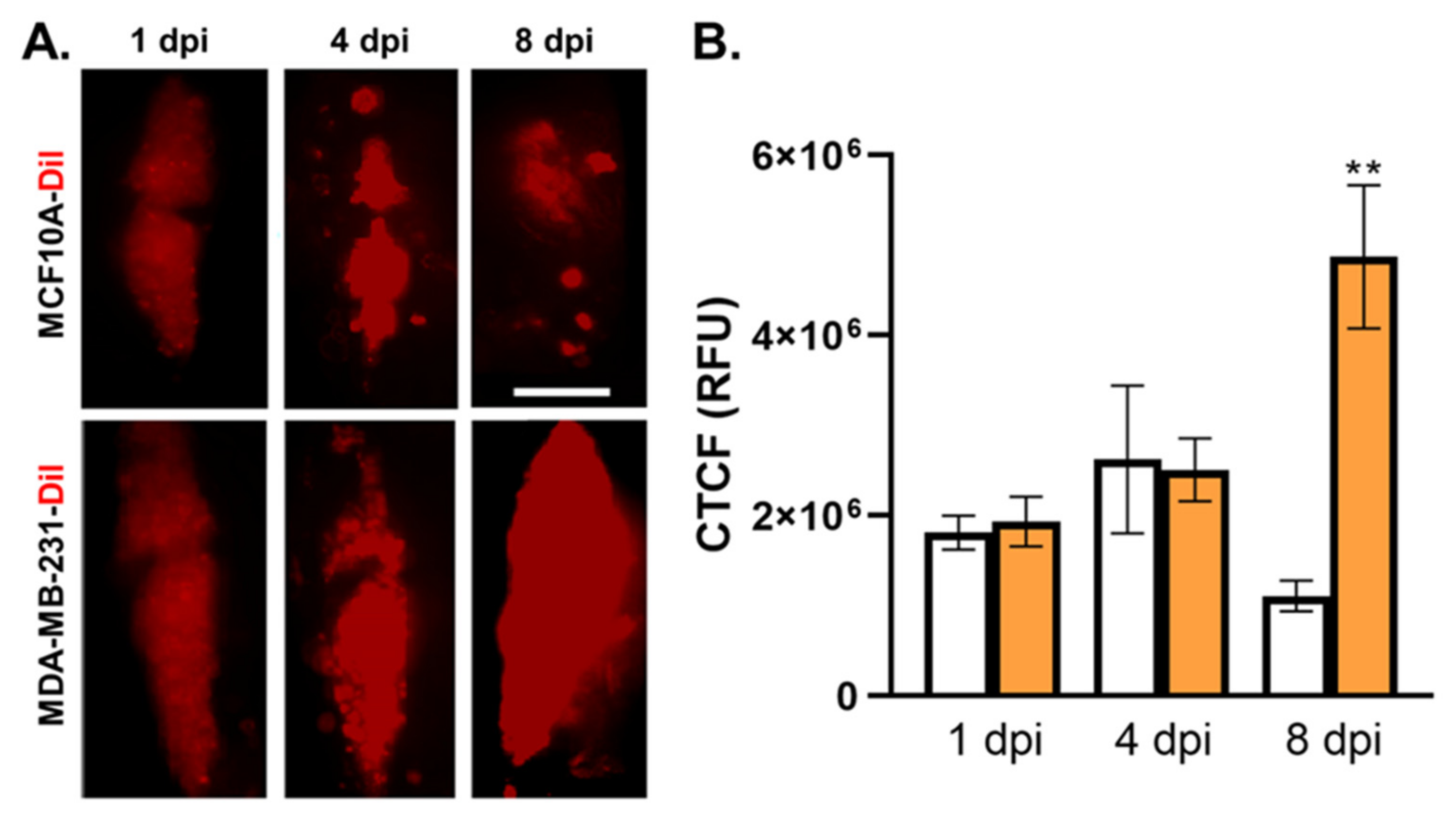 Cells 12 00995 g003 Cells 12 00995 g003