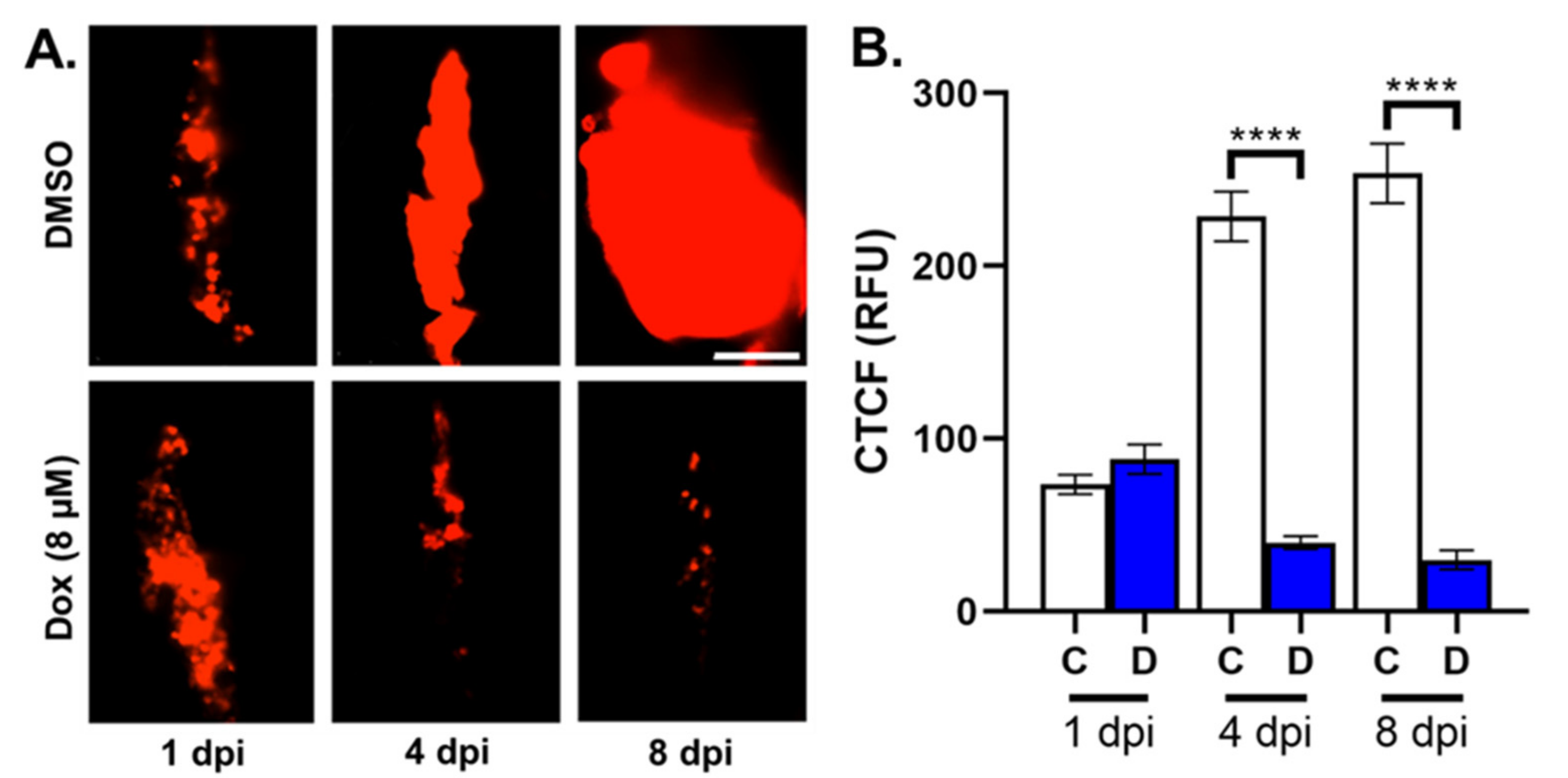 Cells 12 00995 g004 Cells 12 00995 g004