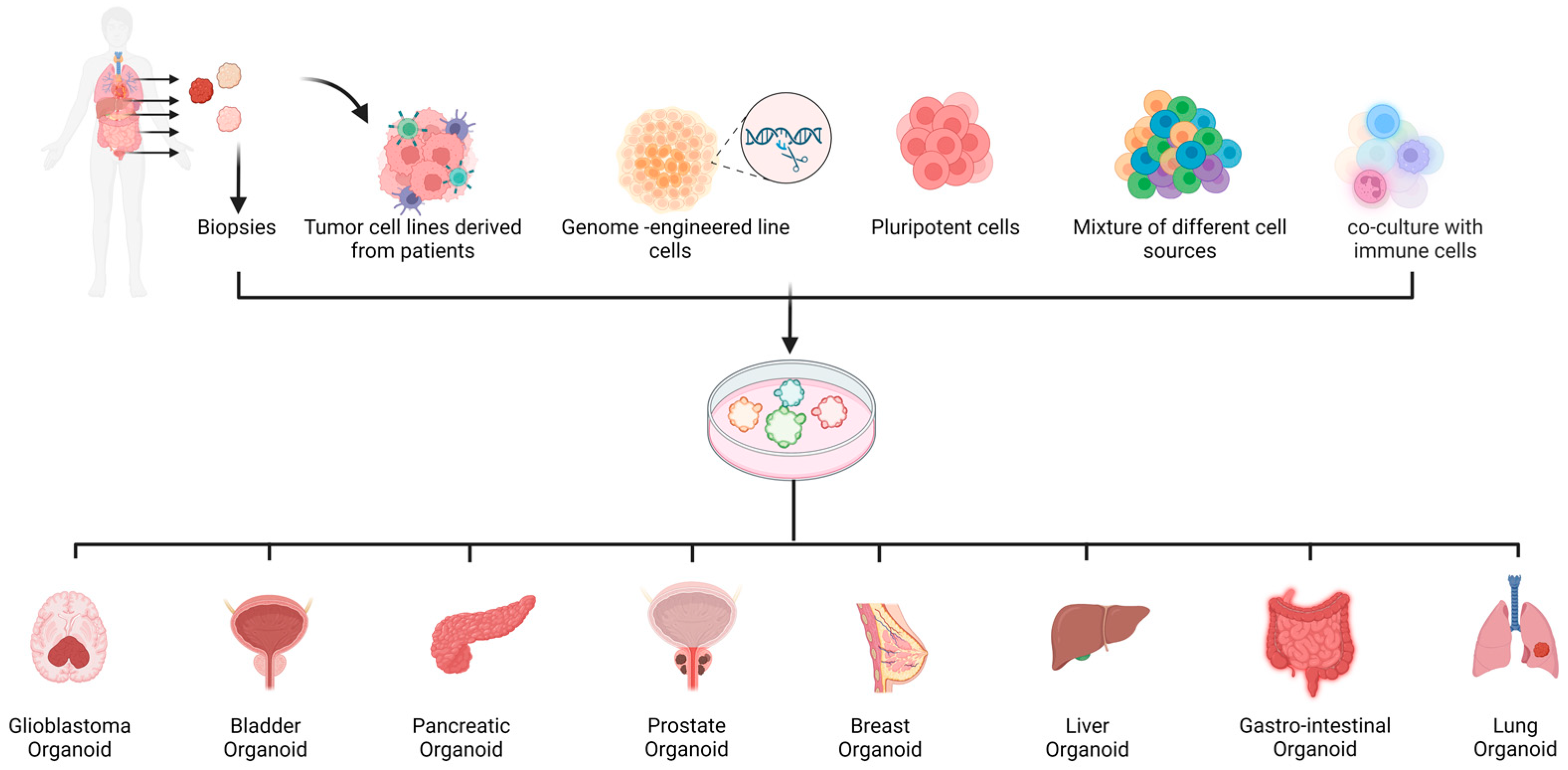 PARTIALLY EDITABLE Immunocompromised Person Inside