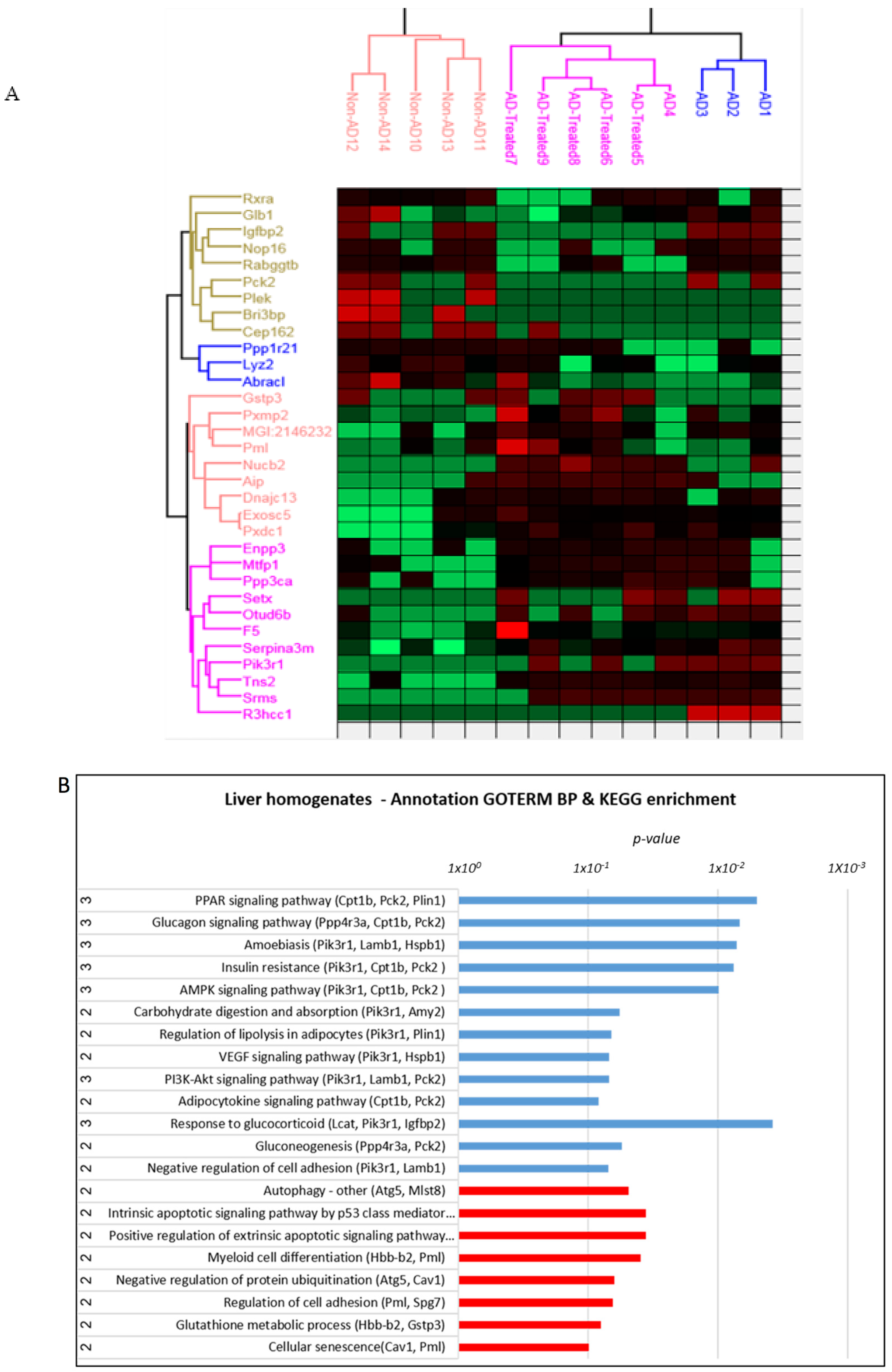 Cells 12 01006 g008a