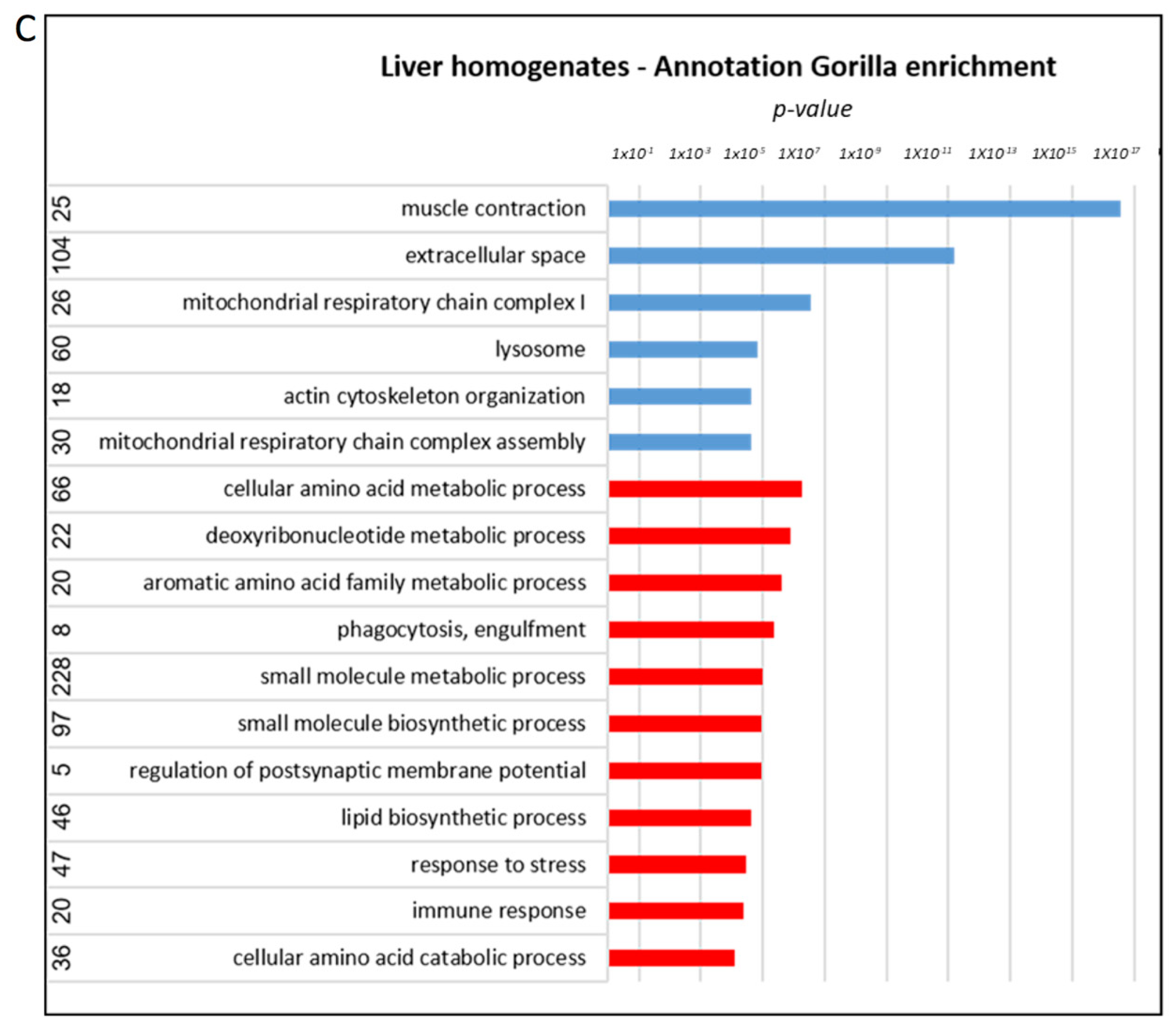 Cells 12 01006 g008b