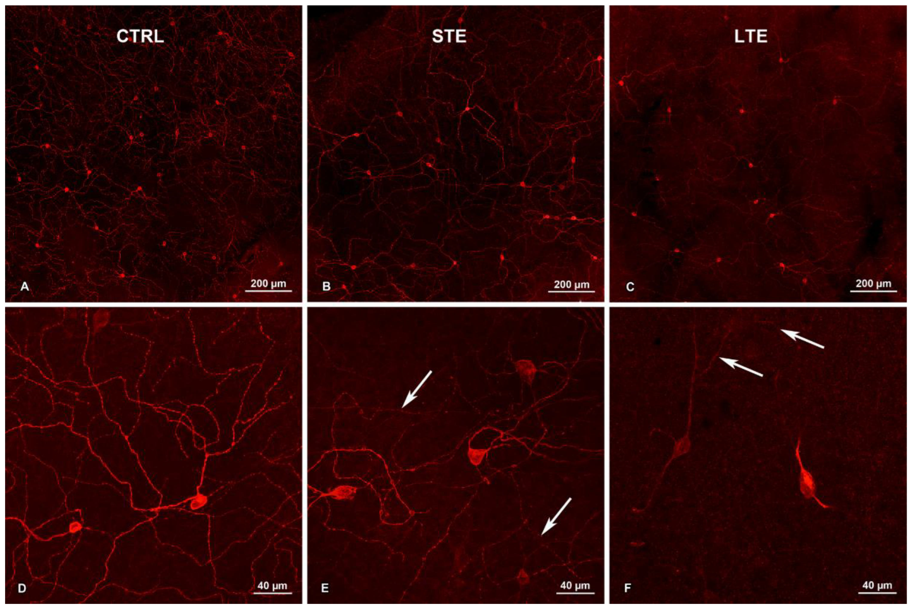 Cells 12 01014 g002 Cells 12 01014 g002