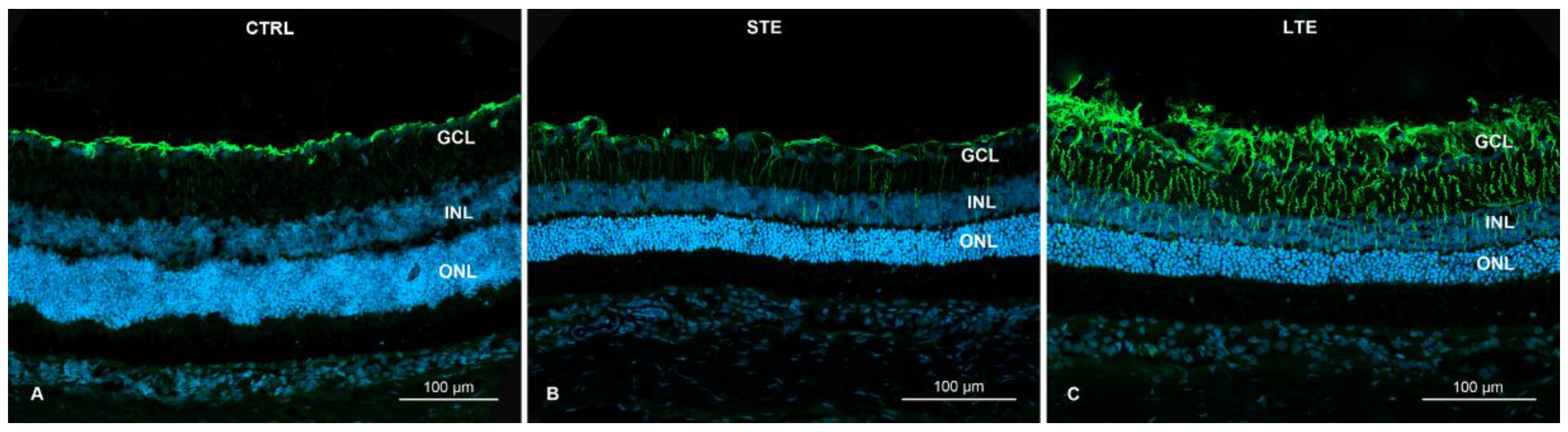 Cells 12 01014 g006 Cells 12 01014 g006