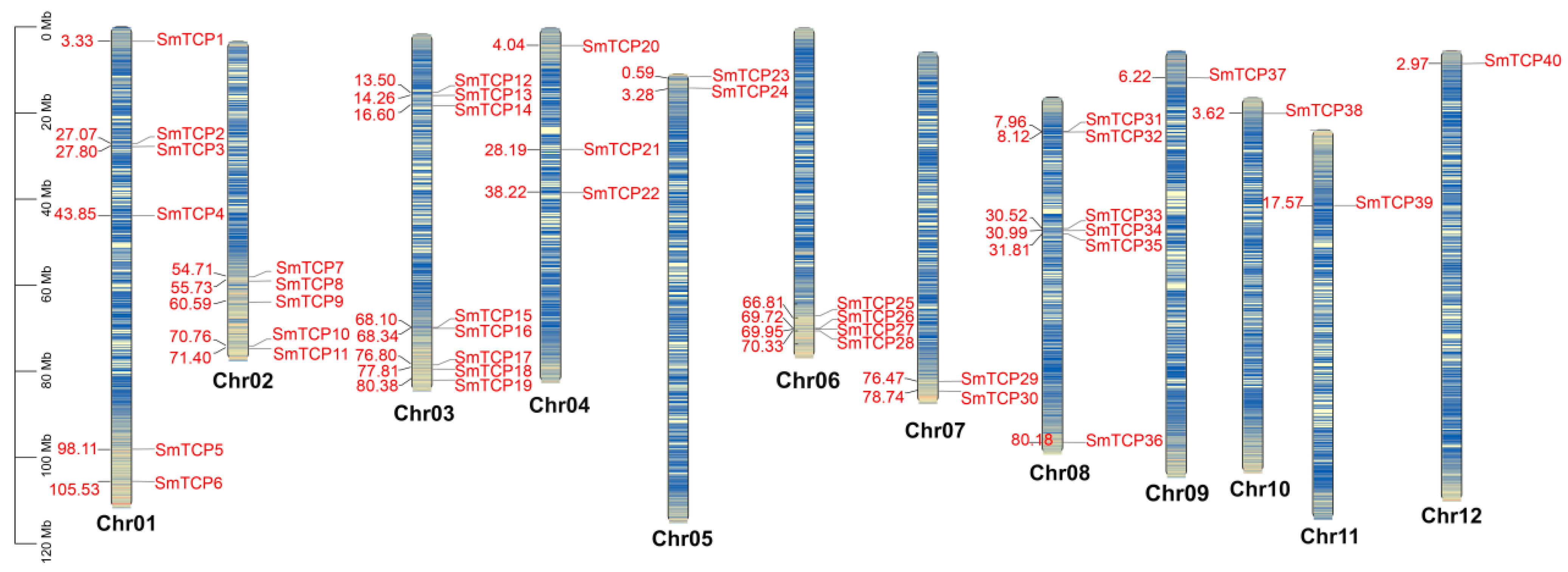 Cells 12 01015 g001 Cells 12 01015 g001
