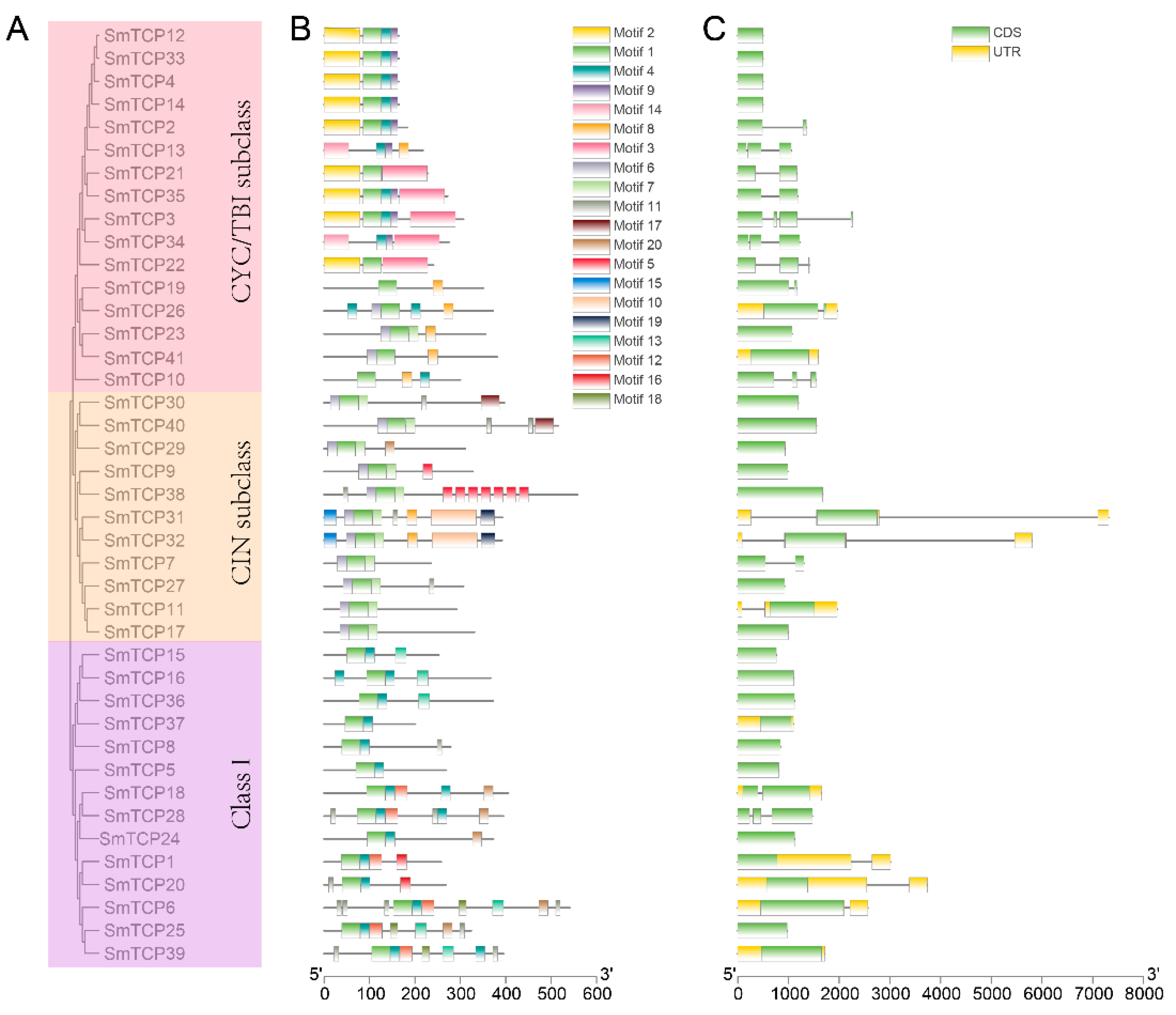 Cells 12 01015 g003 Cells 12 01015 g003
