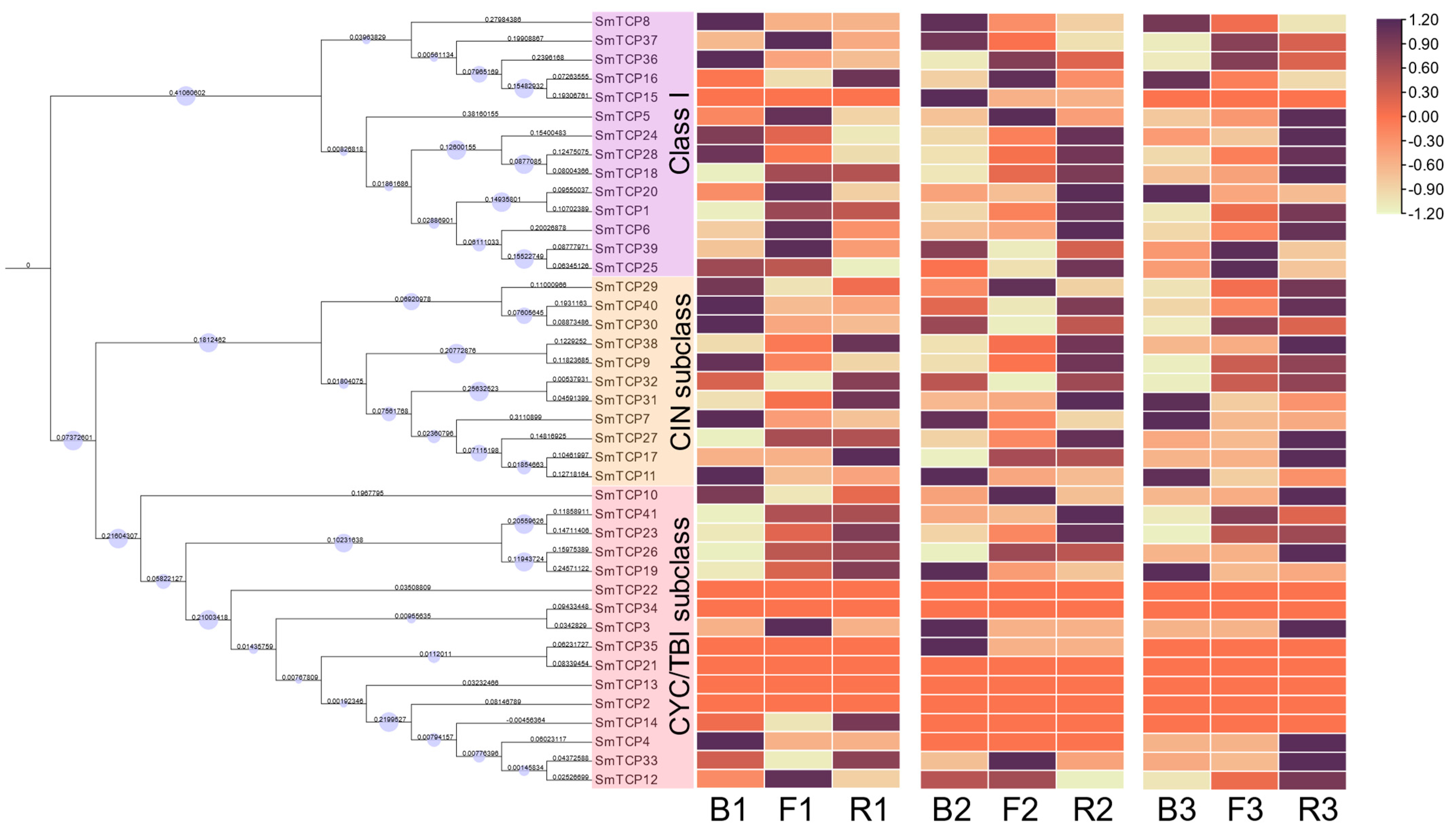 Cells 12 01015 g006 Cells 12 01015 g006