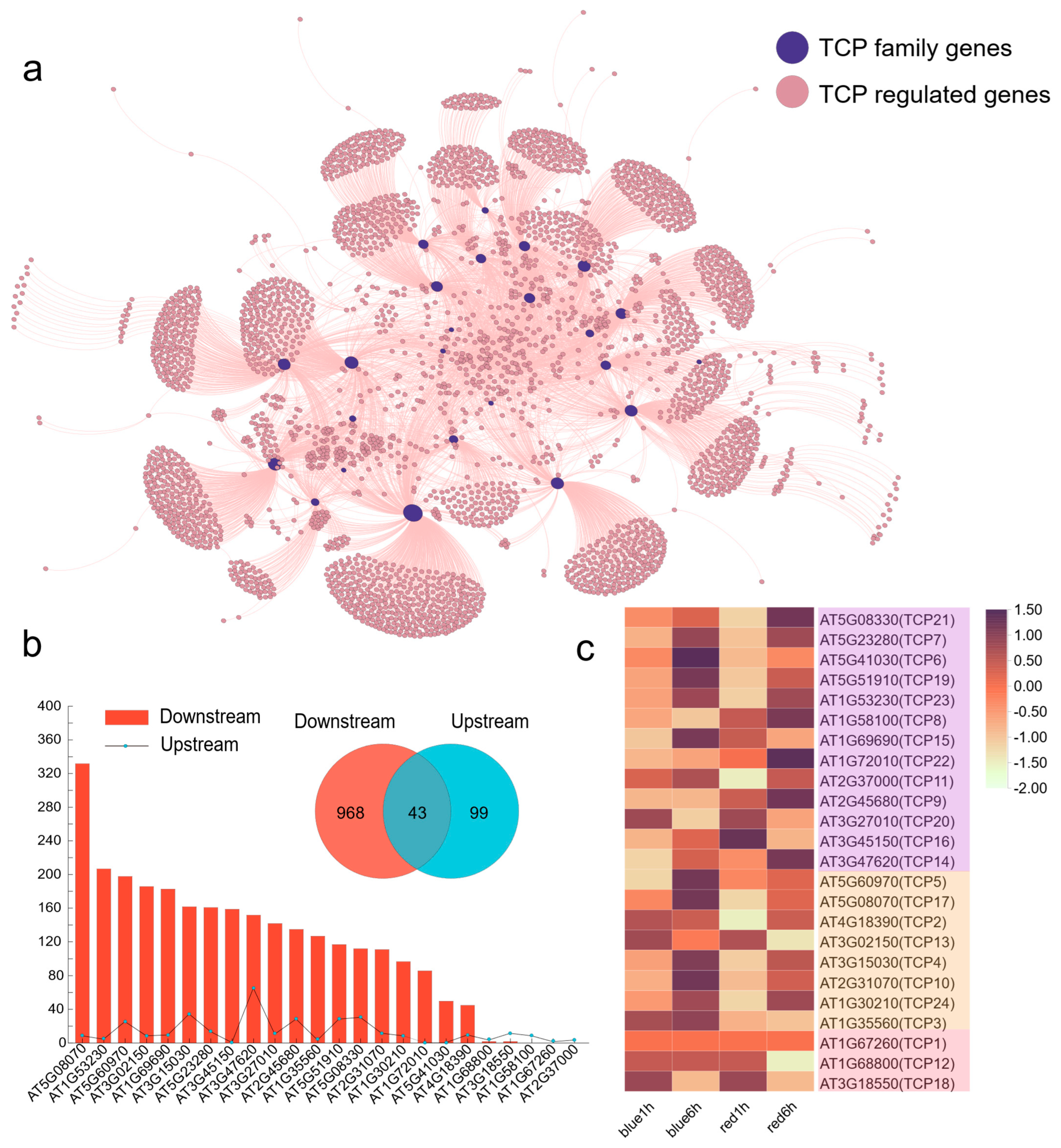 Cells 12 01015 g009 Cells 12 01015 g009