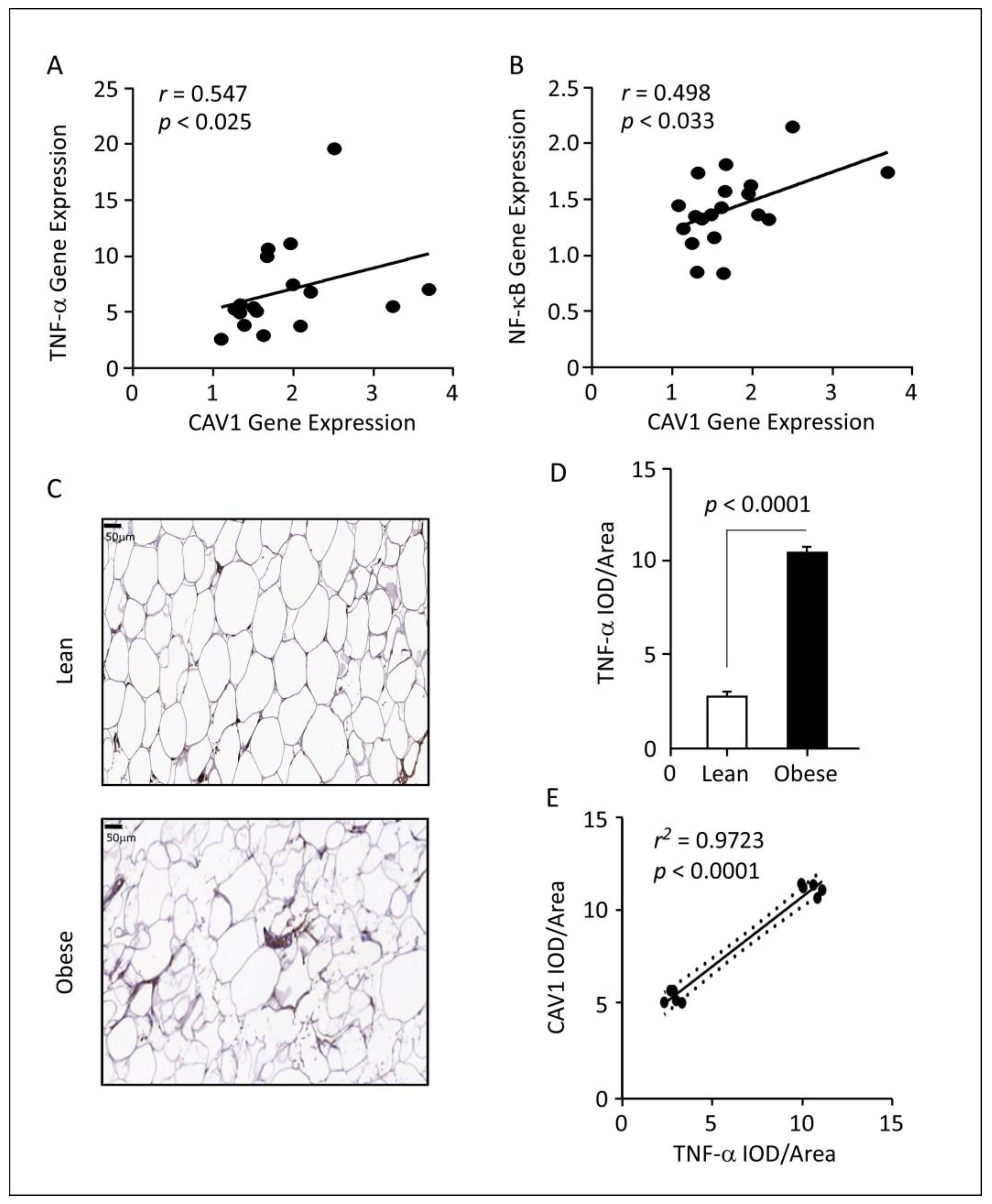 Cells 12 01019 g002 Cells 12 01019 g002