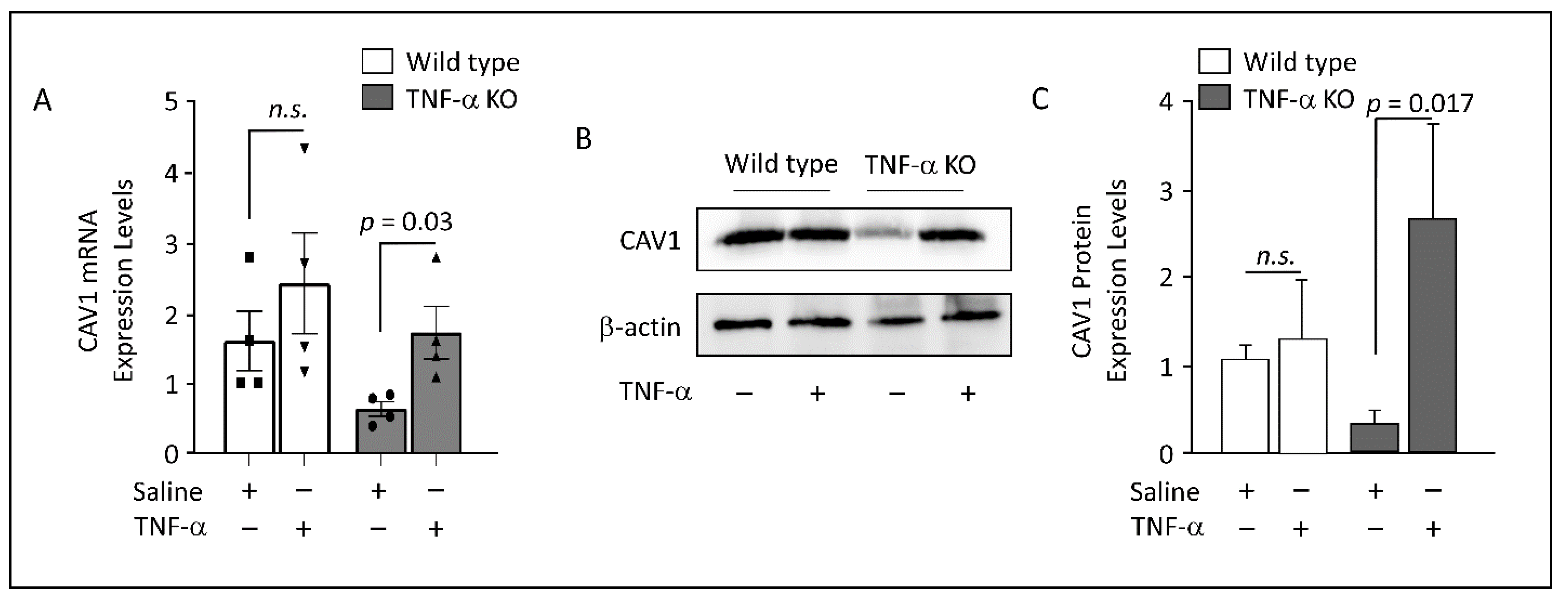 Cells 12 01019 g003 Cells 12 01019 g003