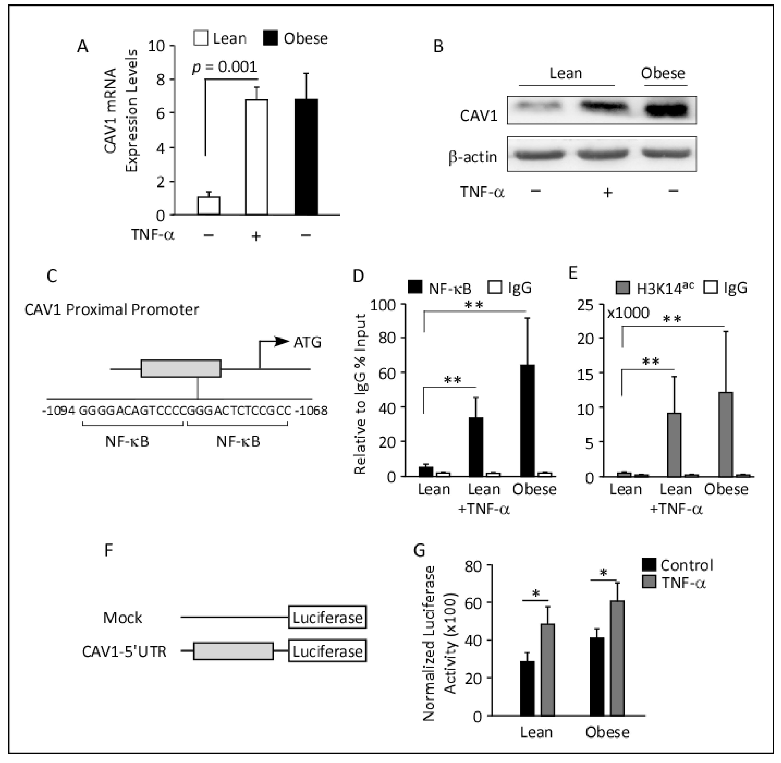 Cells 12 01019 g005 Cells 12 01019 g005