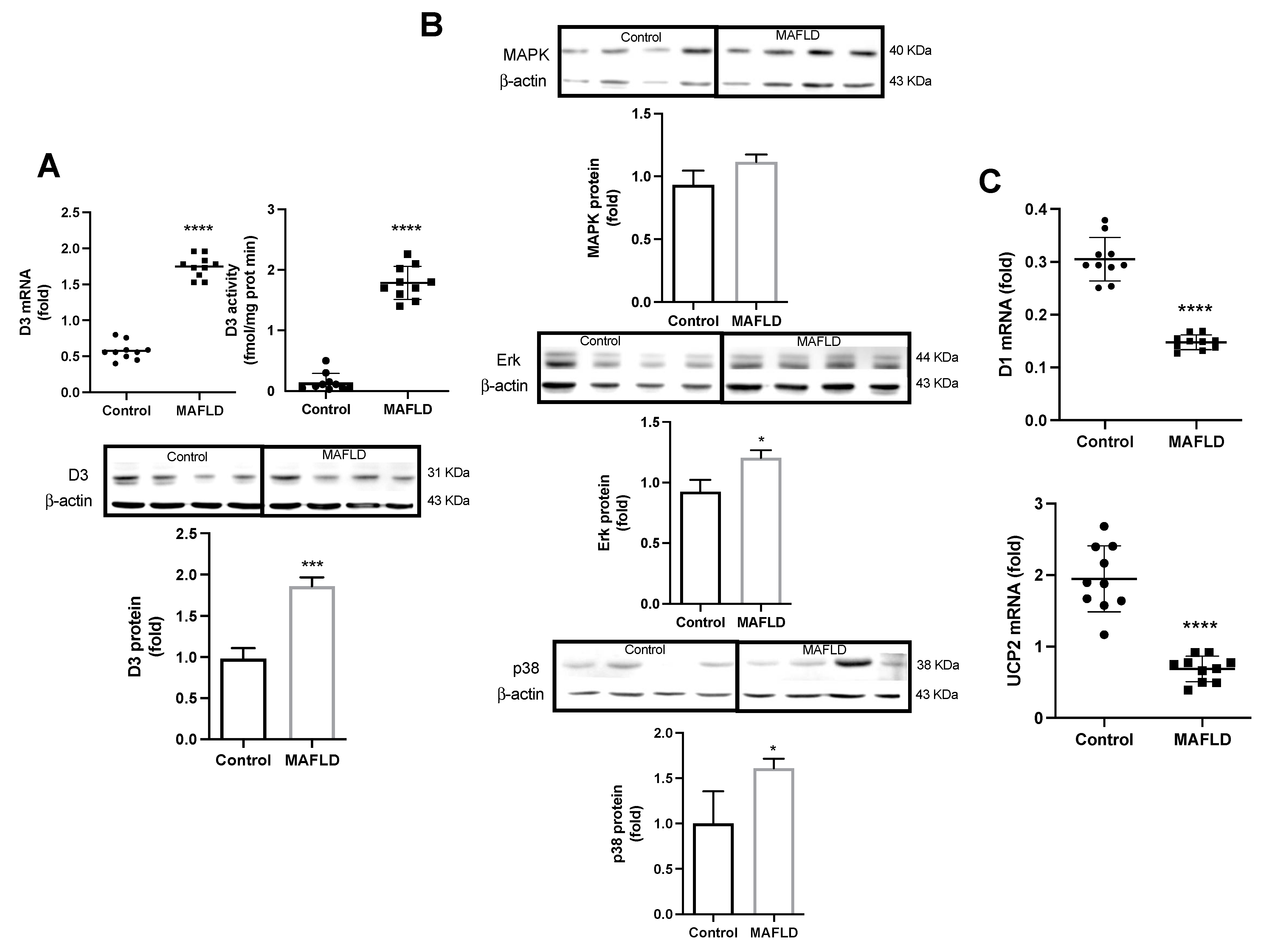 Cells 12 01022 g003 Cells 12 01022 g003