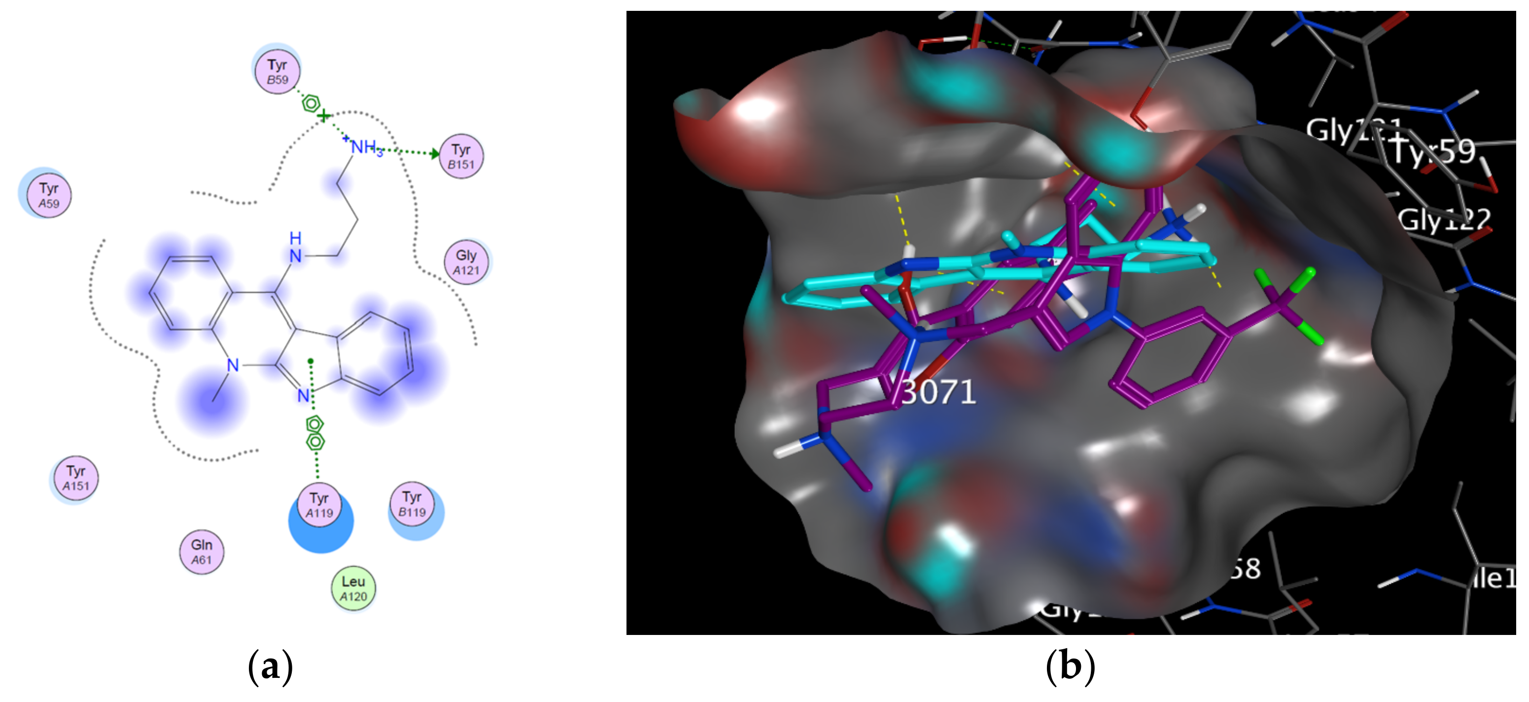Cells 12 01024 g003 Cells 12 01024 g003
