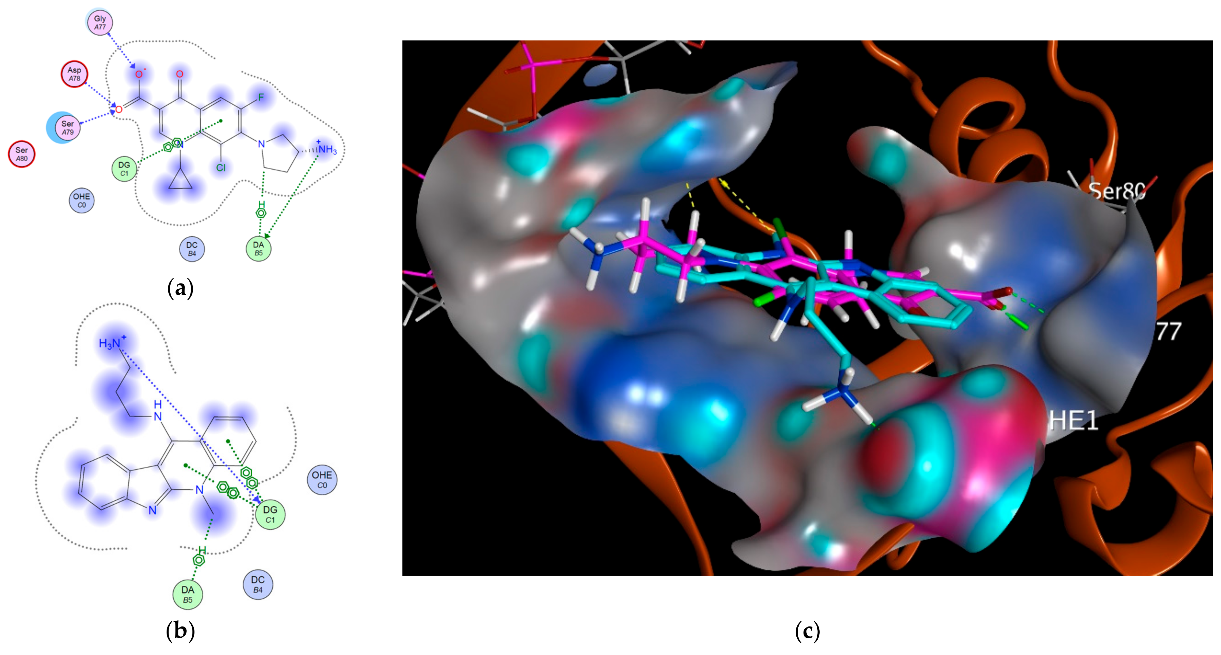 Cells 12 01024 g004 Cells 12 01024 g004