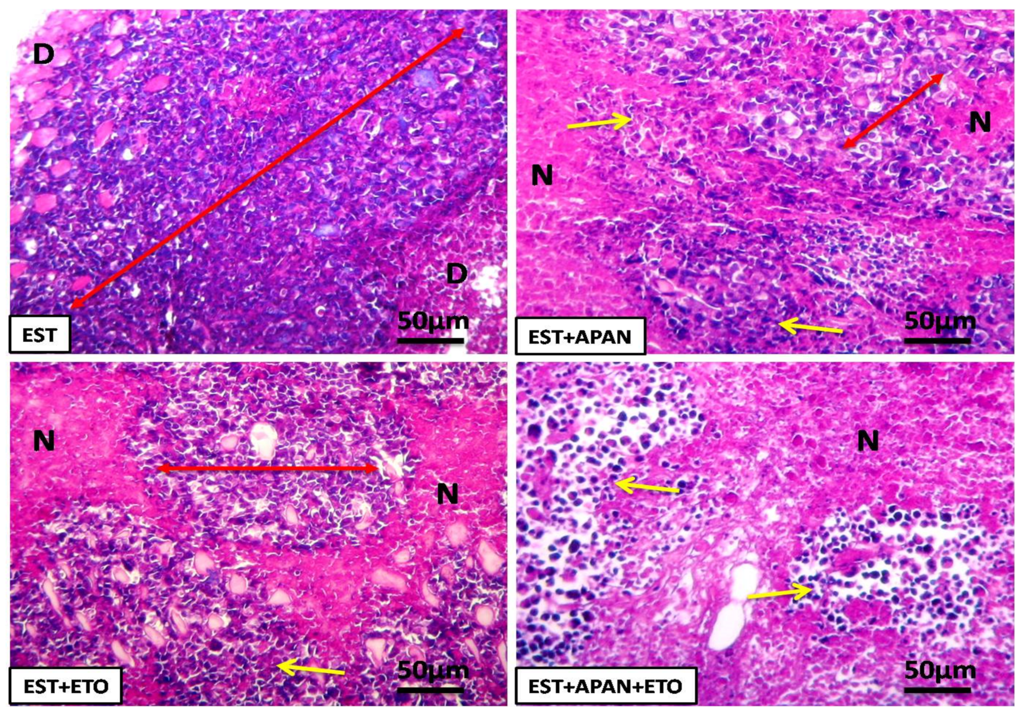 Cells 12 01024 g006 Cells 12 01024 g006
