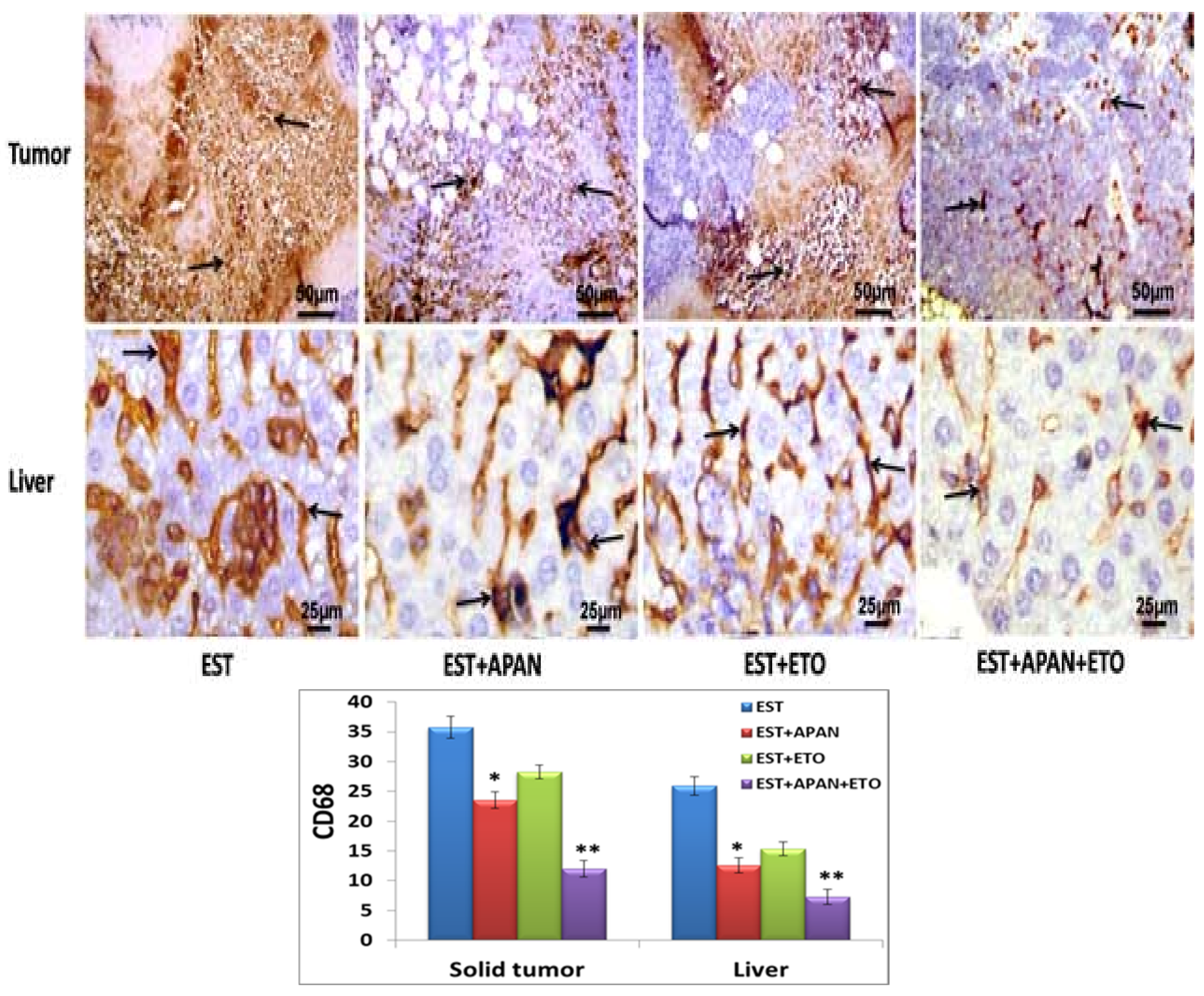 Cells 12 01024 g008 Cells 12 01024 g008