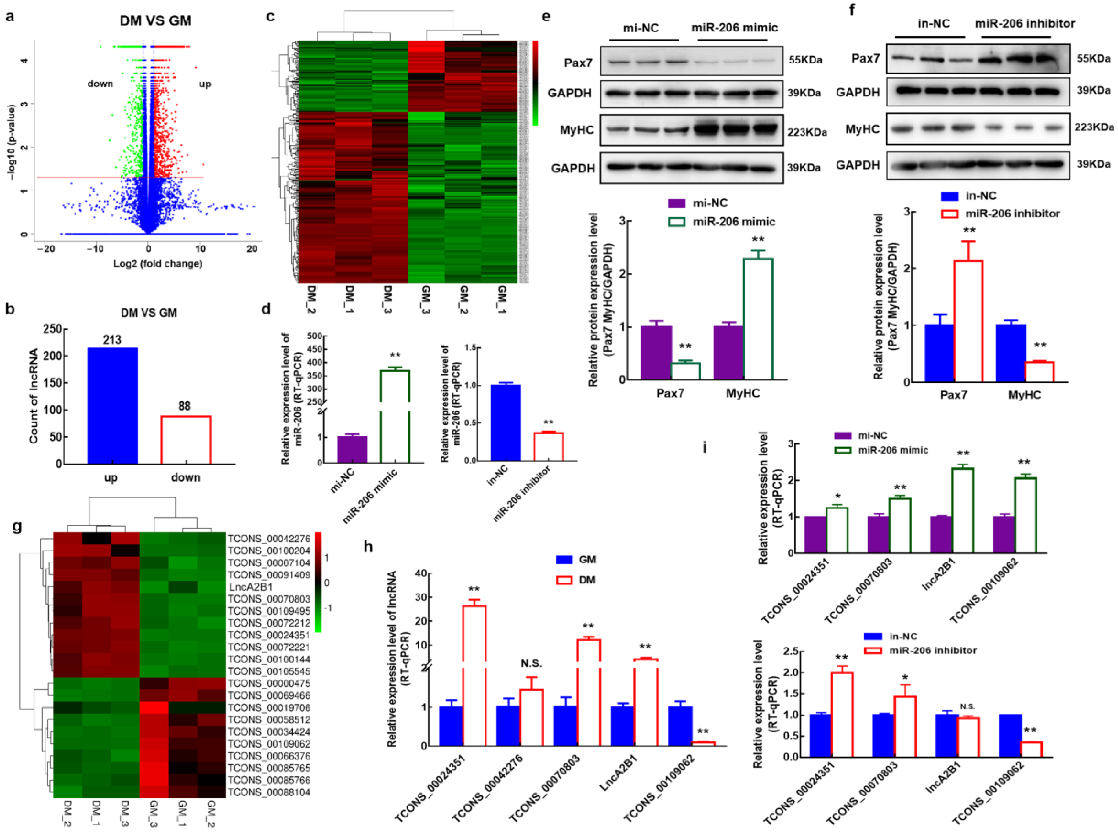 Cells 12 01028 g001 Cells 12 01028 g001
