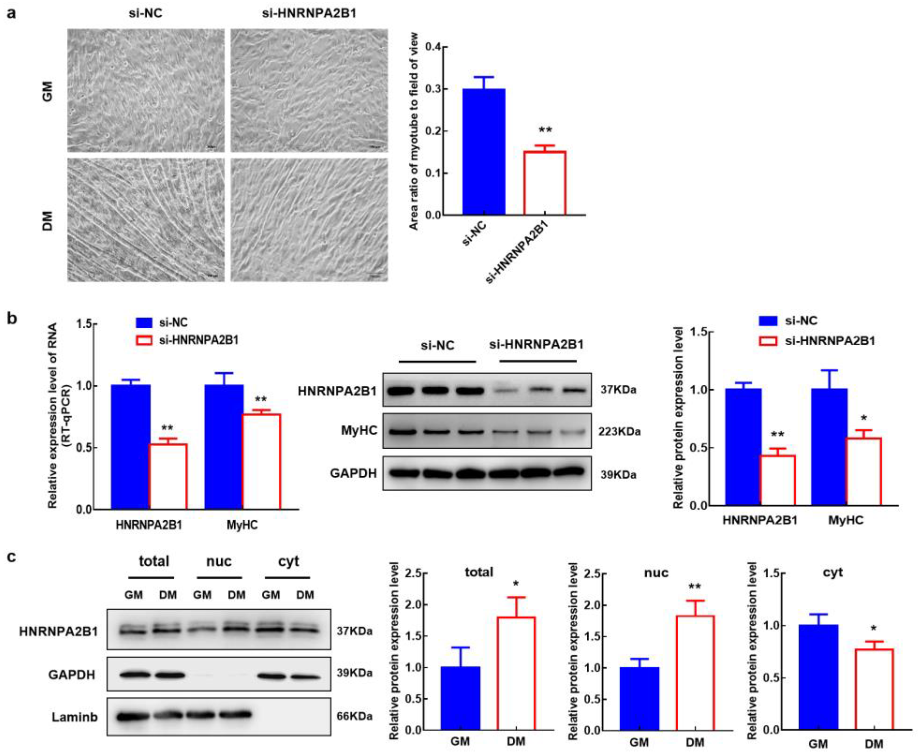 Cells 12 01028 g006 Cells 12 01028 g006