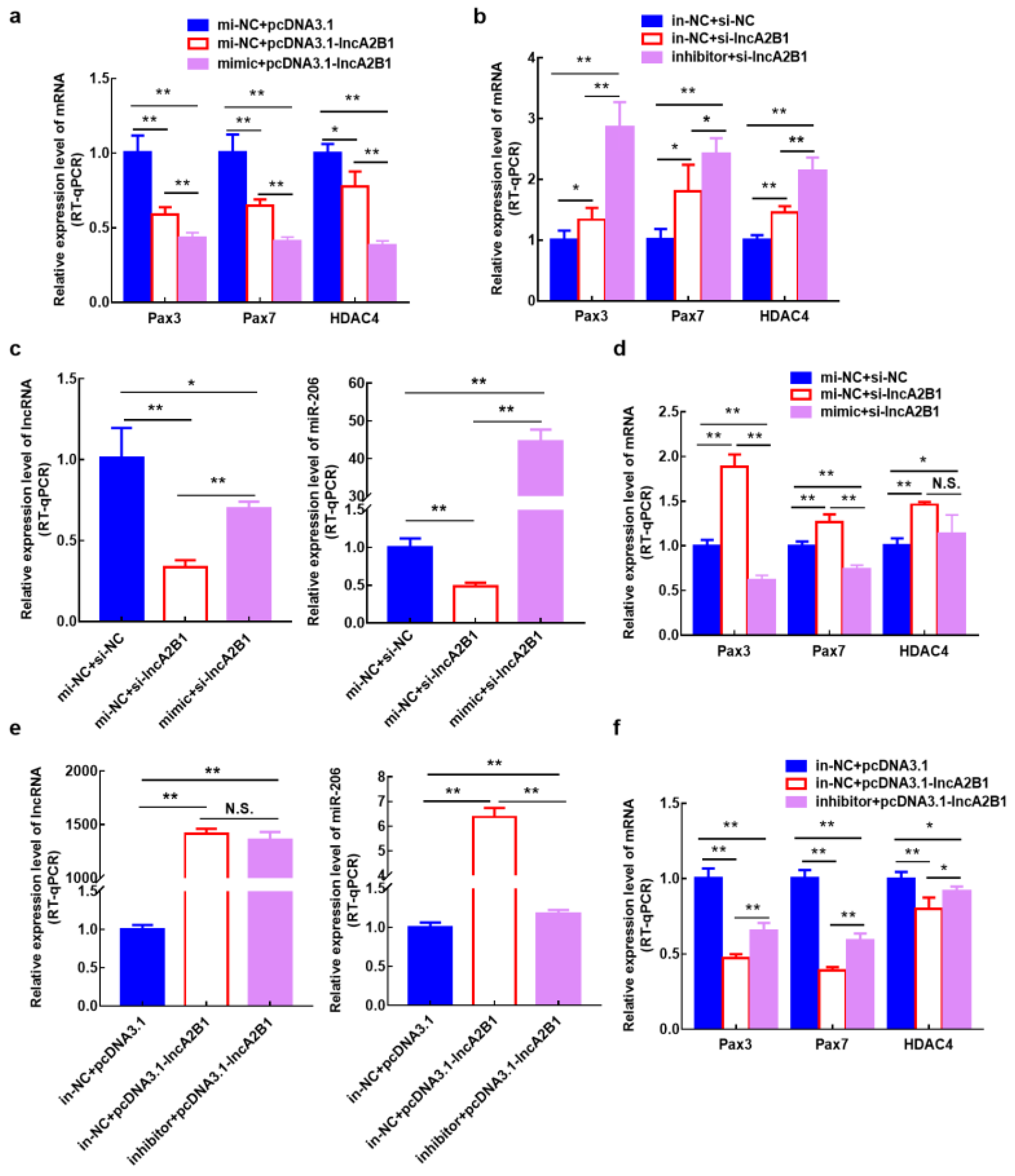 Cells 12 01028 g0a1 Cells 12 01028 g0a1