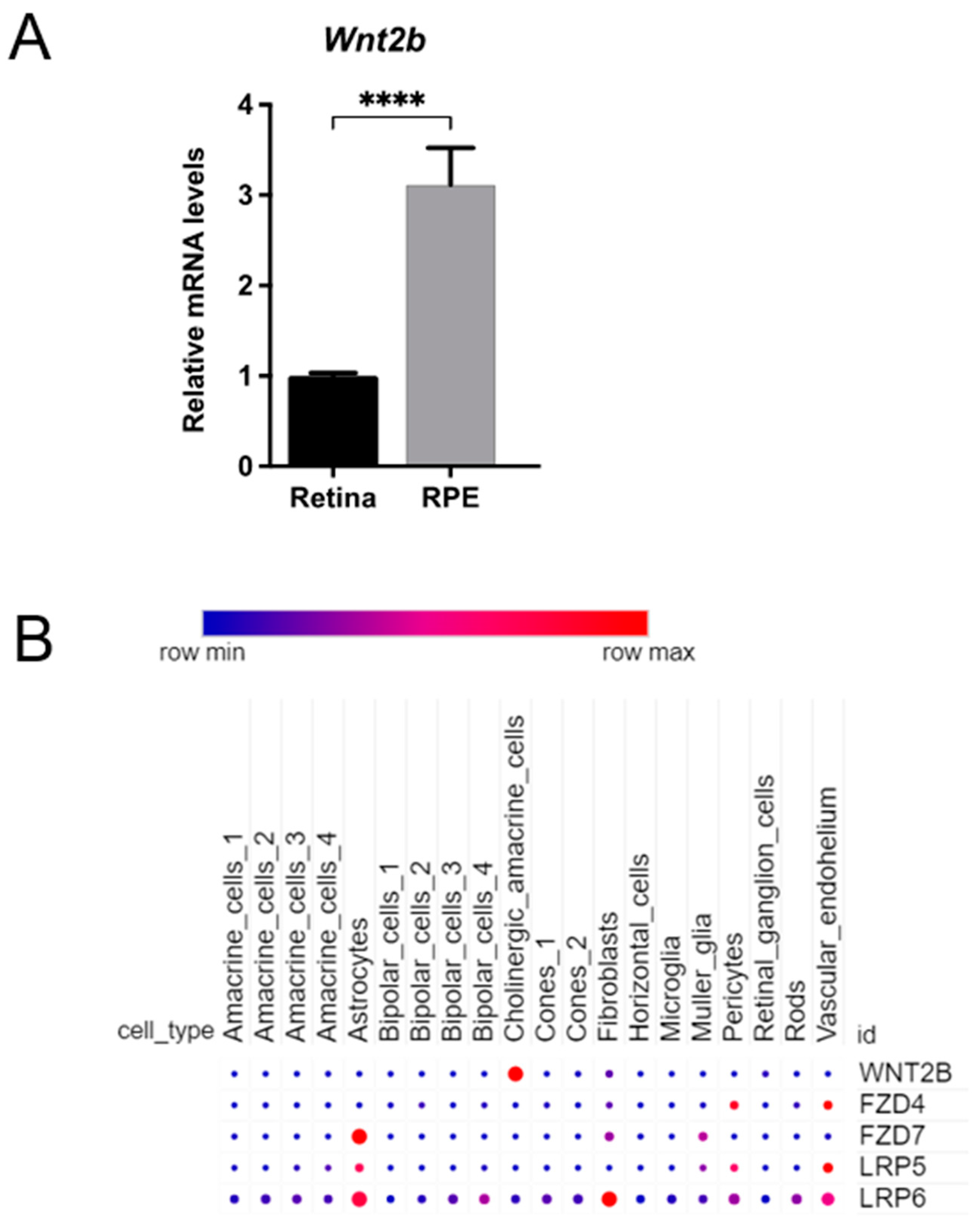 Cells 12 01033 g007 Cells 12 01033 g007