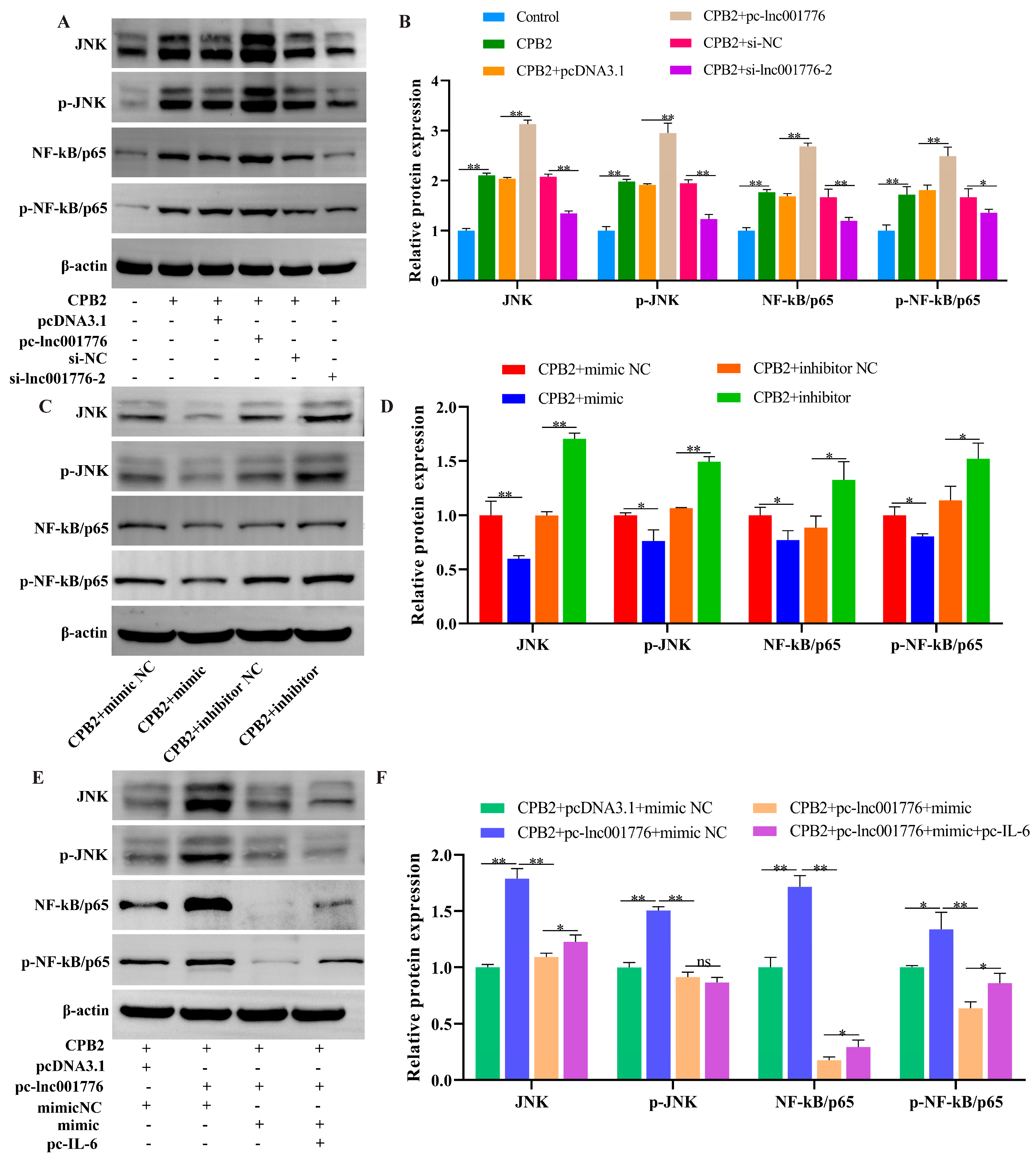Cells 12 01036 g011