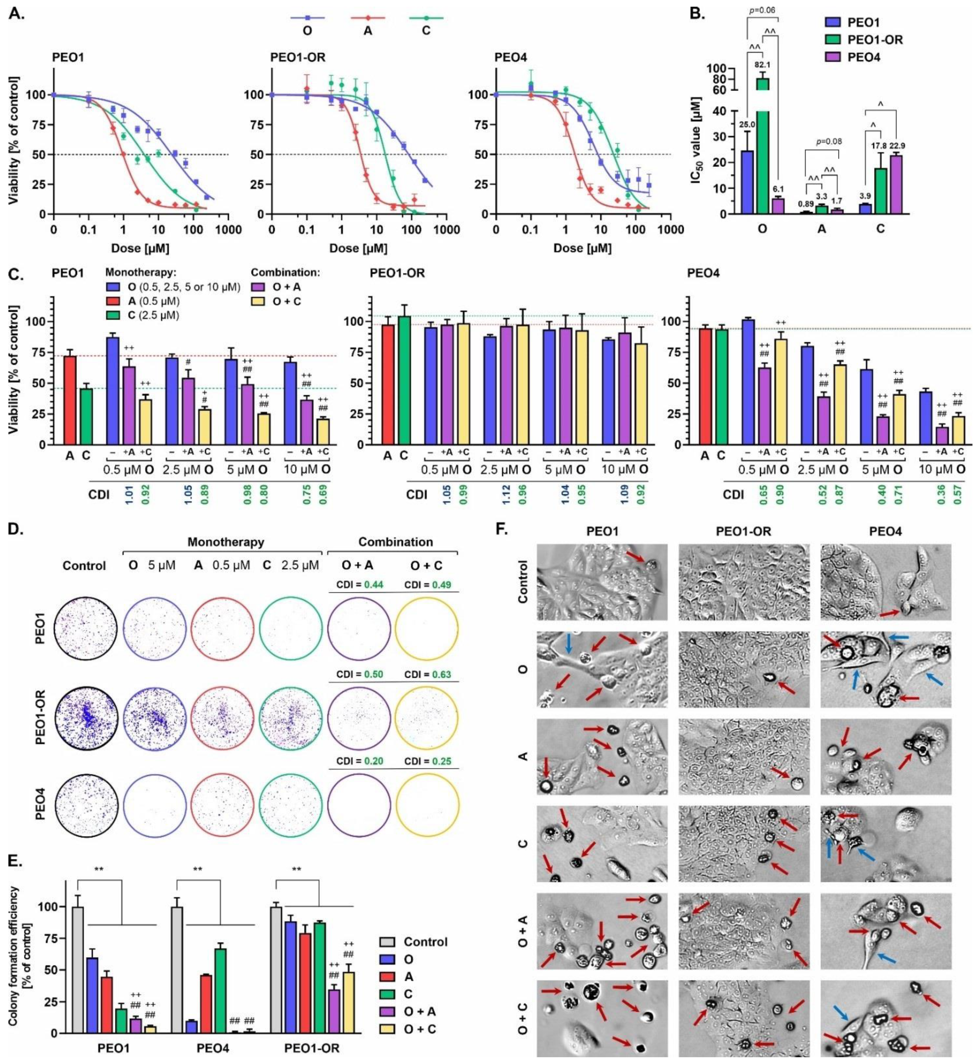 Cells 12 01038 g002 Cells 12 01038 g002