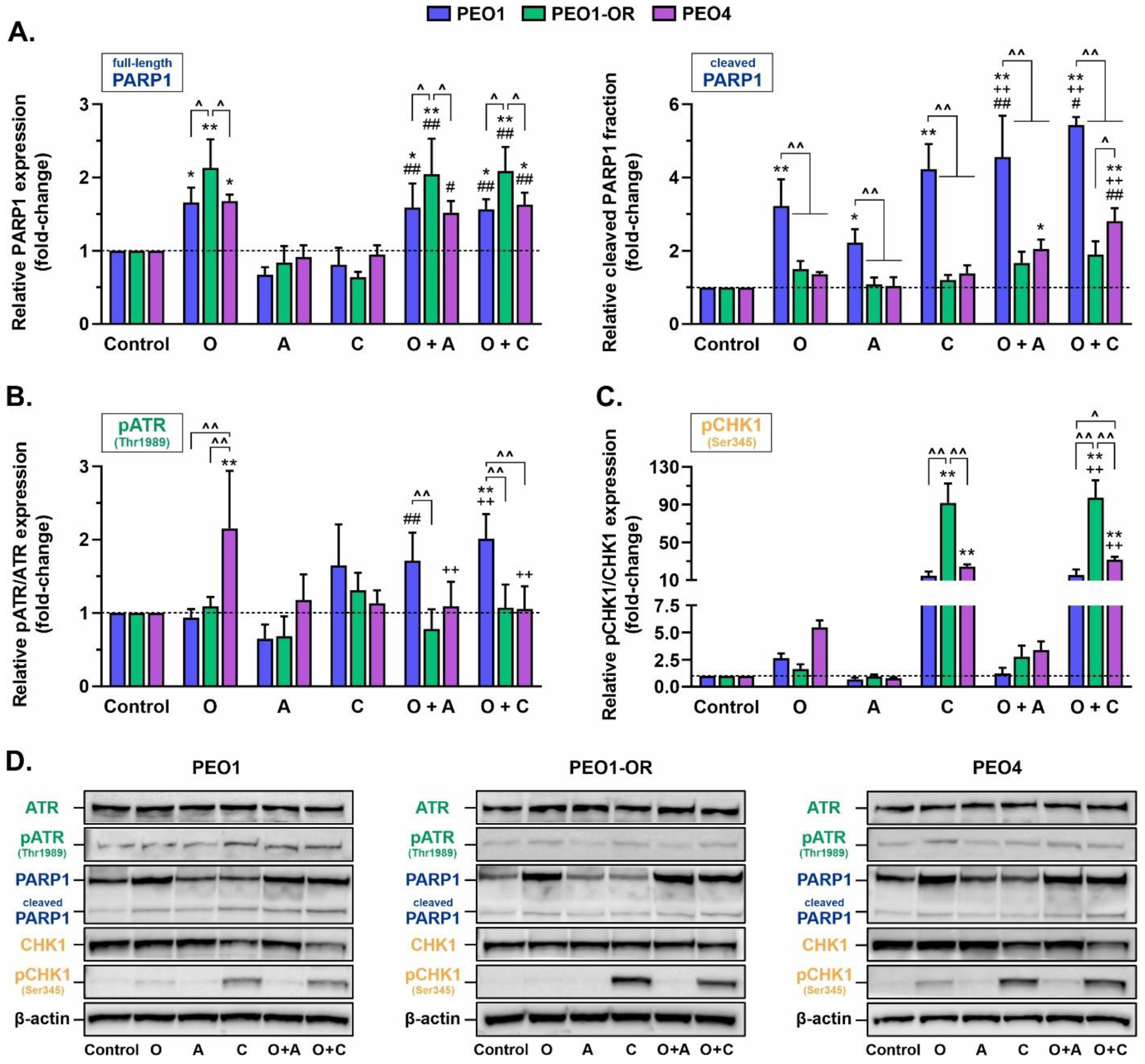 Cells 12 01038 g005 Cells 12 01038 g005