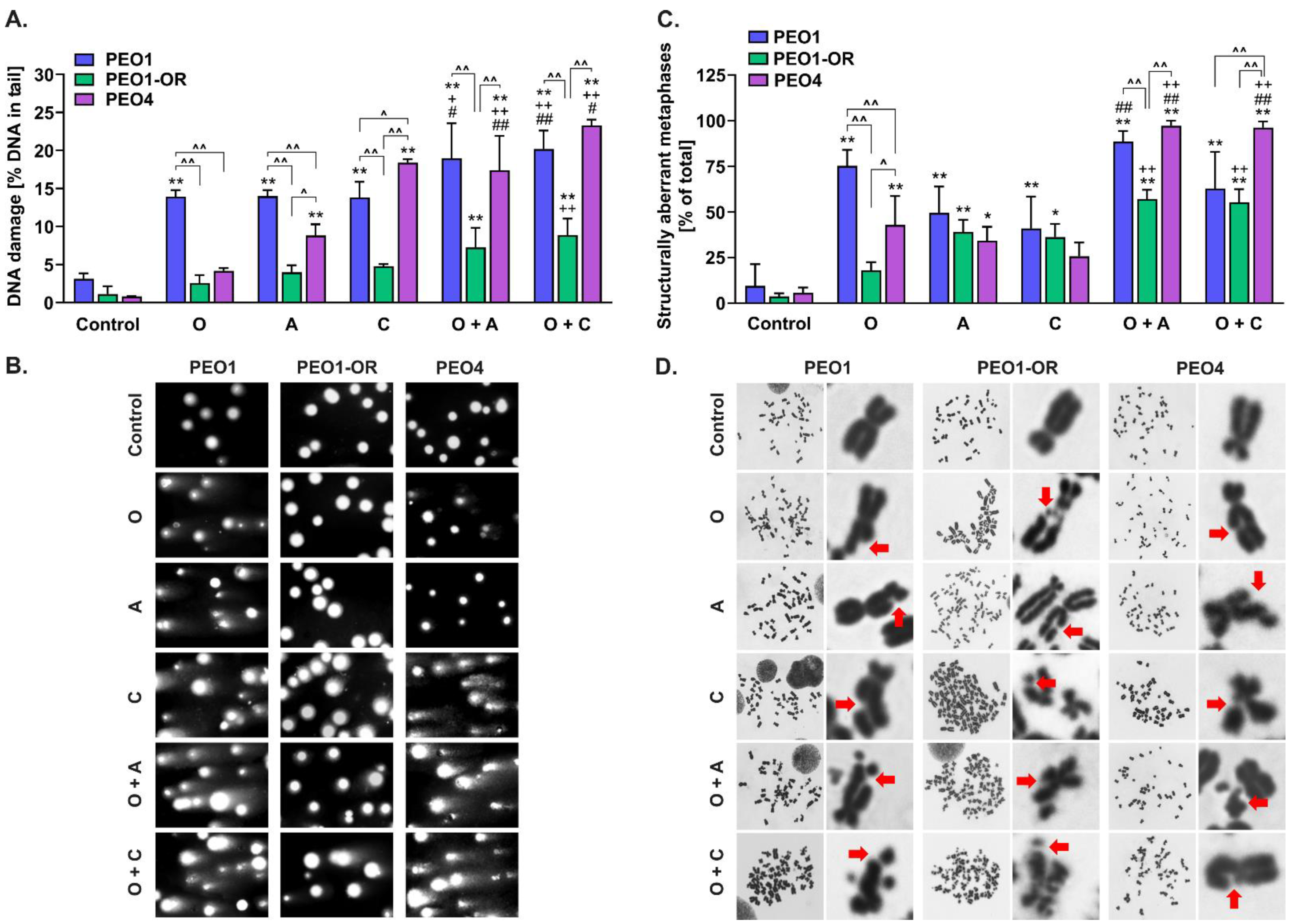 Cells 12 01038 g007 Cells 12 01038 g007