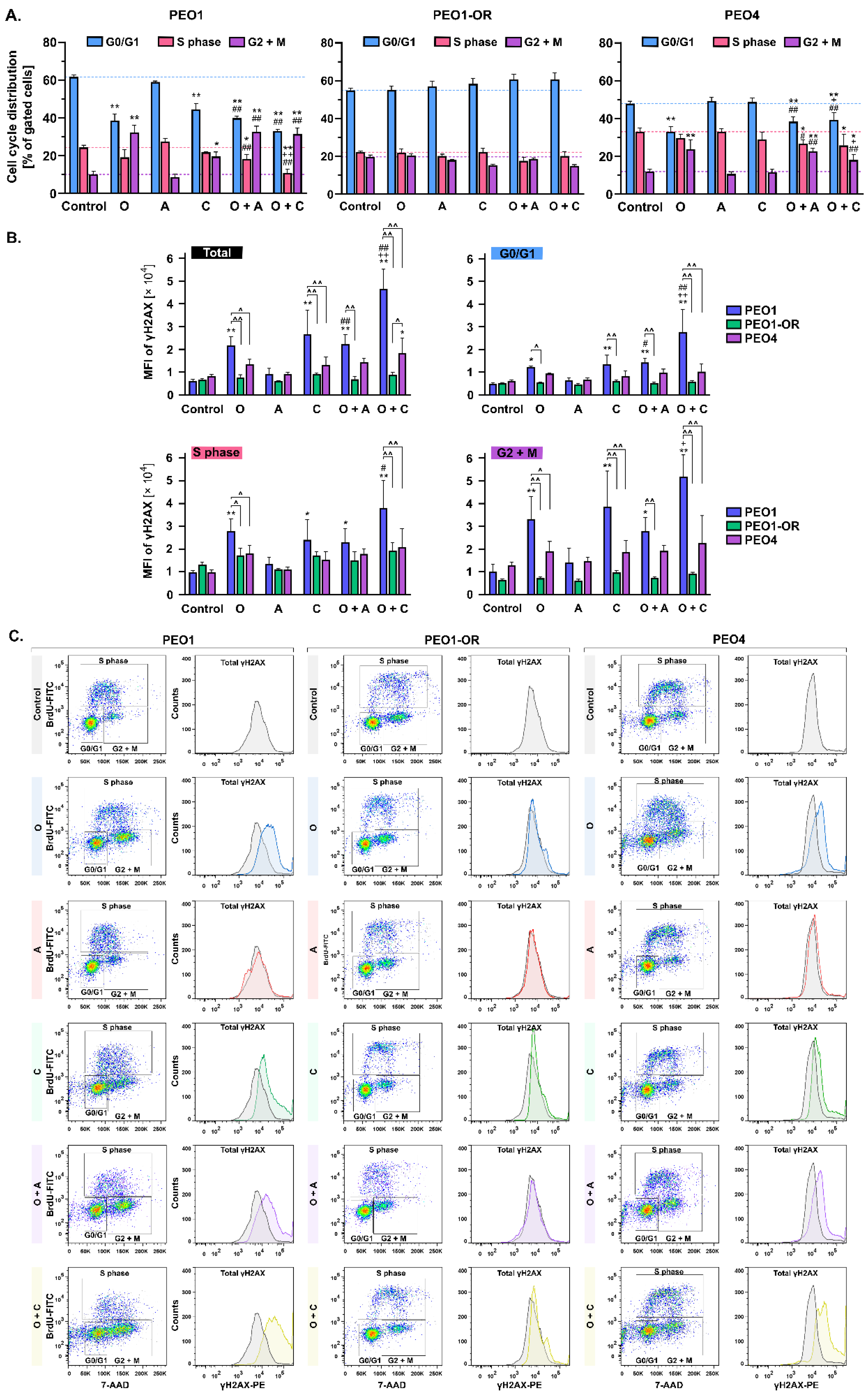 Cells 12 01038 g008 Cells 12 01038 g008