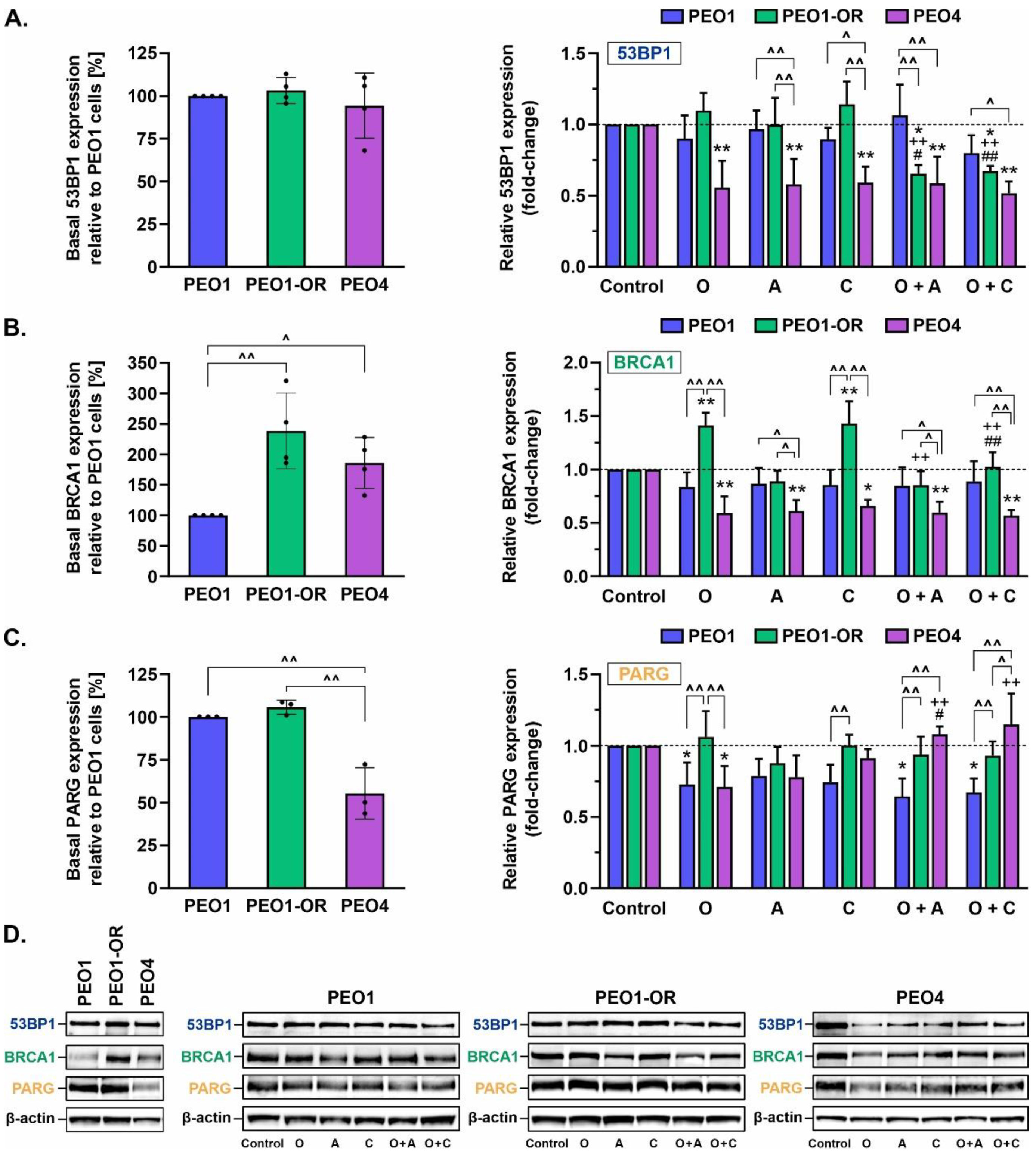 Cells 12 01038 g009 Cells 12 01038 g009