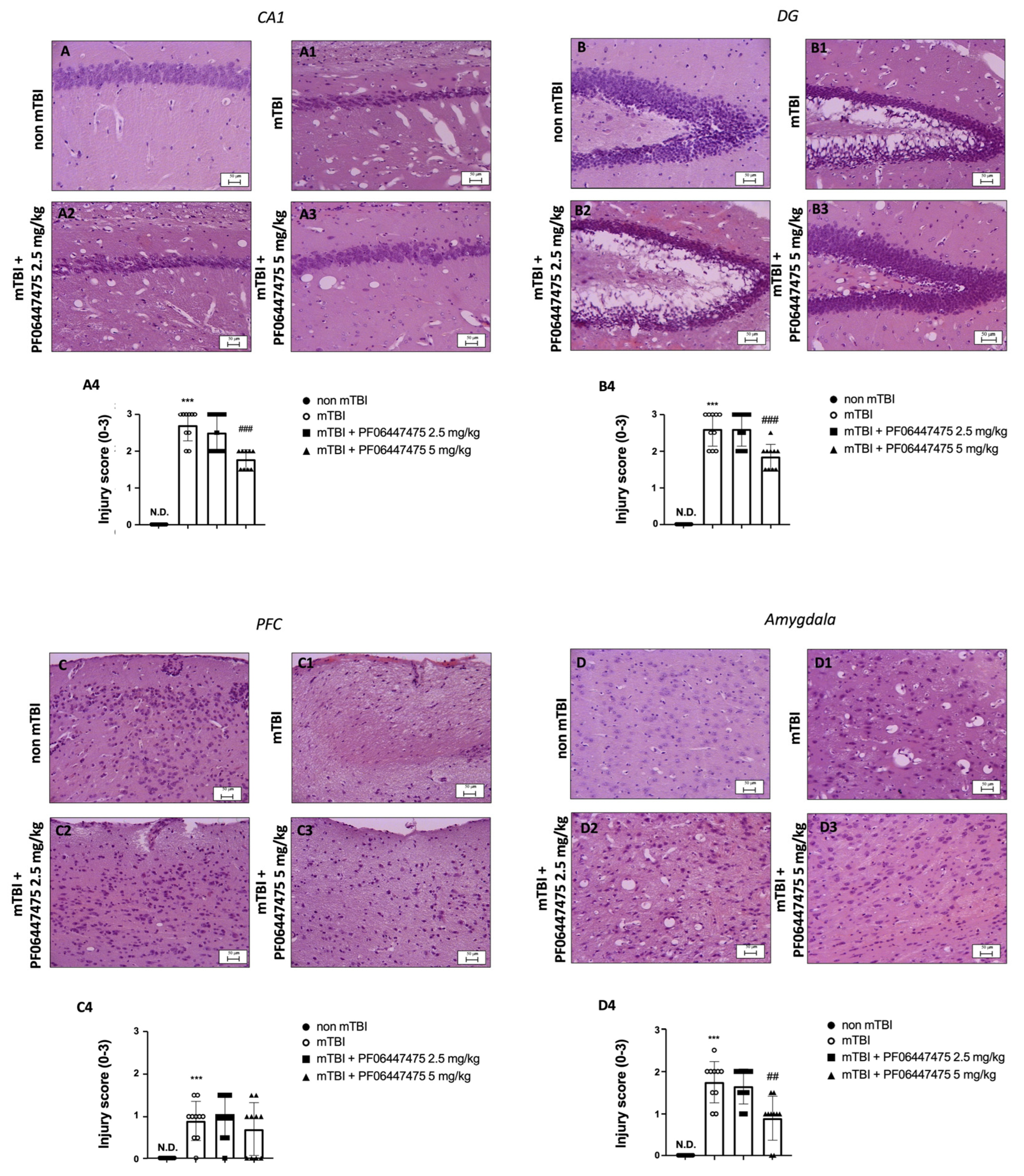 Long-term Multidomain Patterns of Change After Traumatic Brain Injury