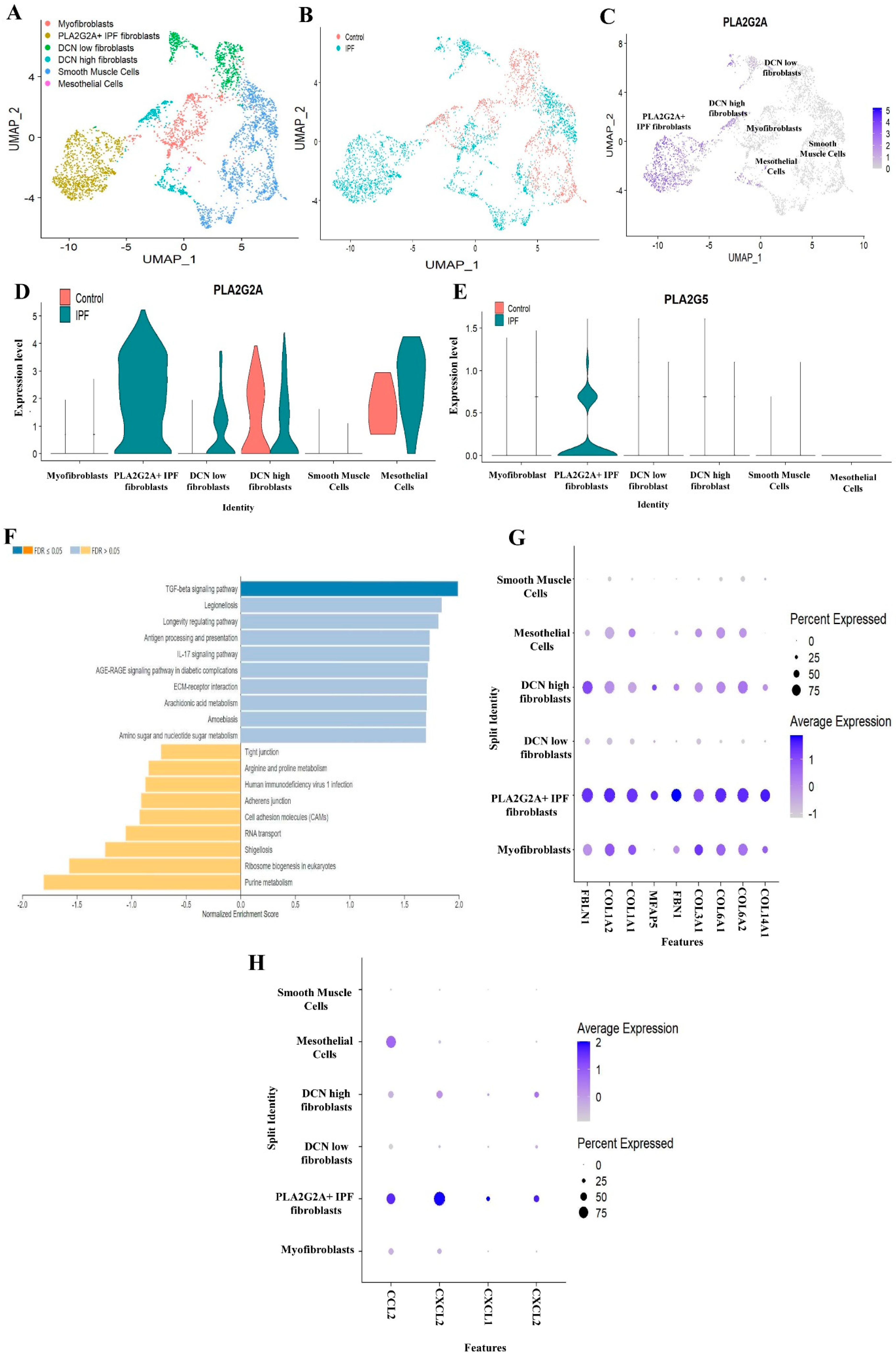 Cells 12 01044 g002 Cells 12 01044 g002