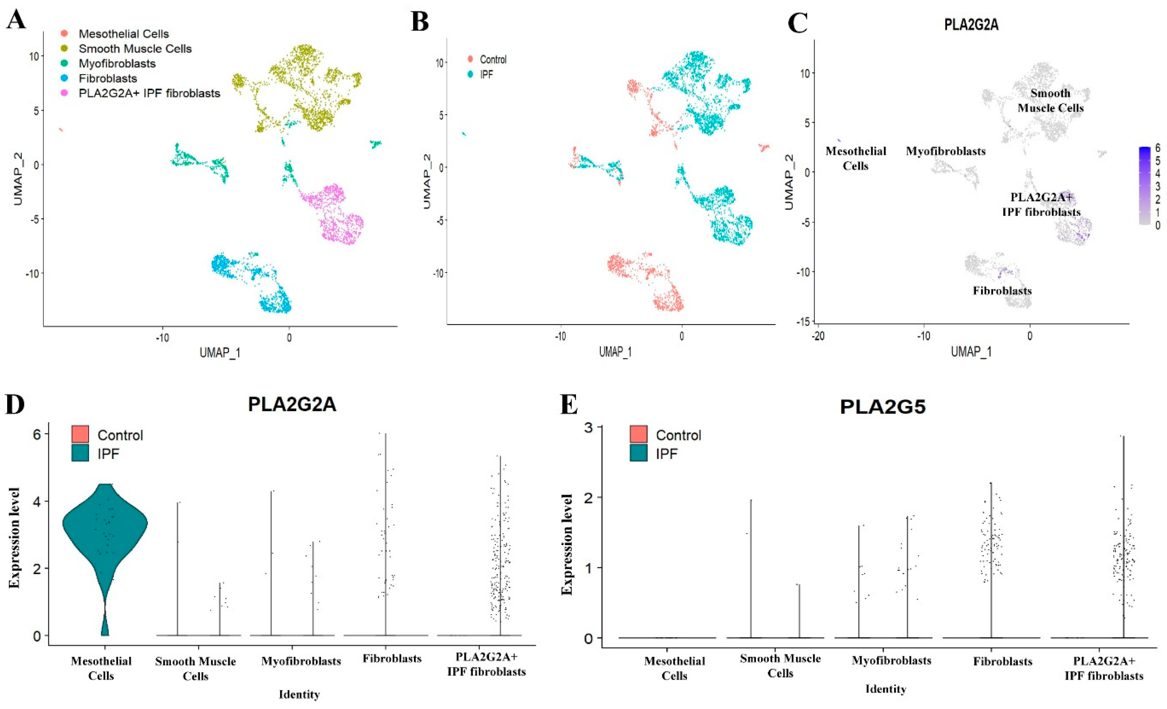 Cells 12 01044 g003 Cells 12 01044 g003