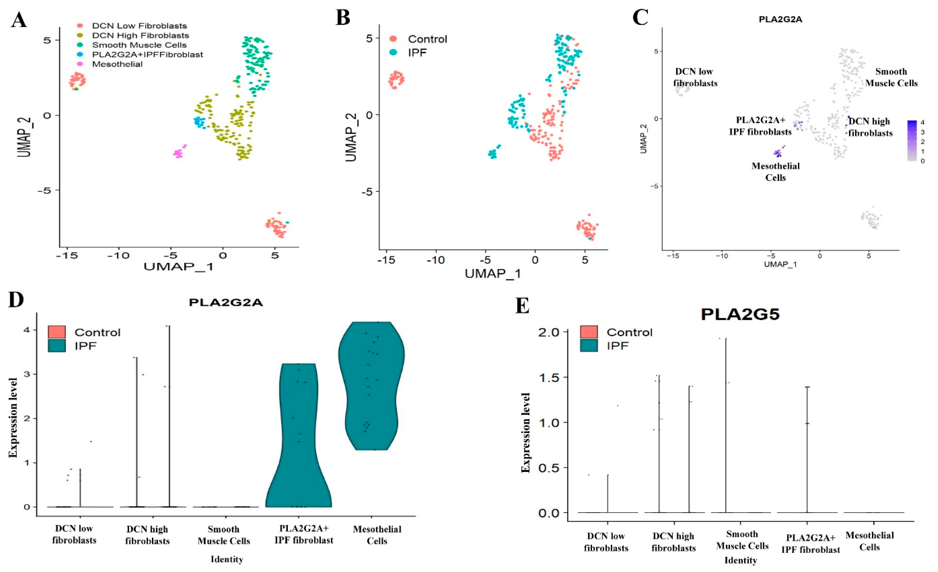 Cells 12 01044 g004 Cells 12 01044 g004