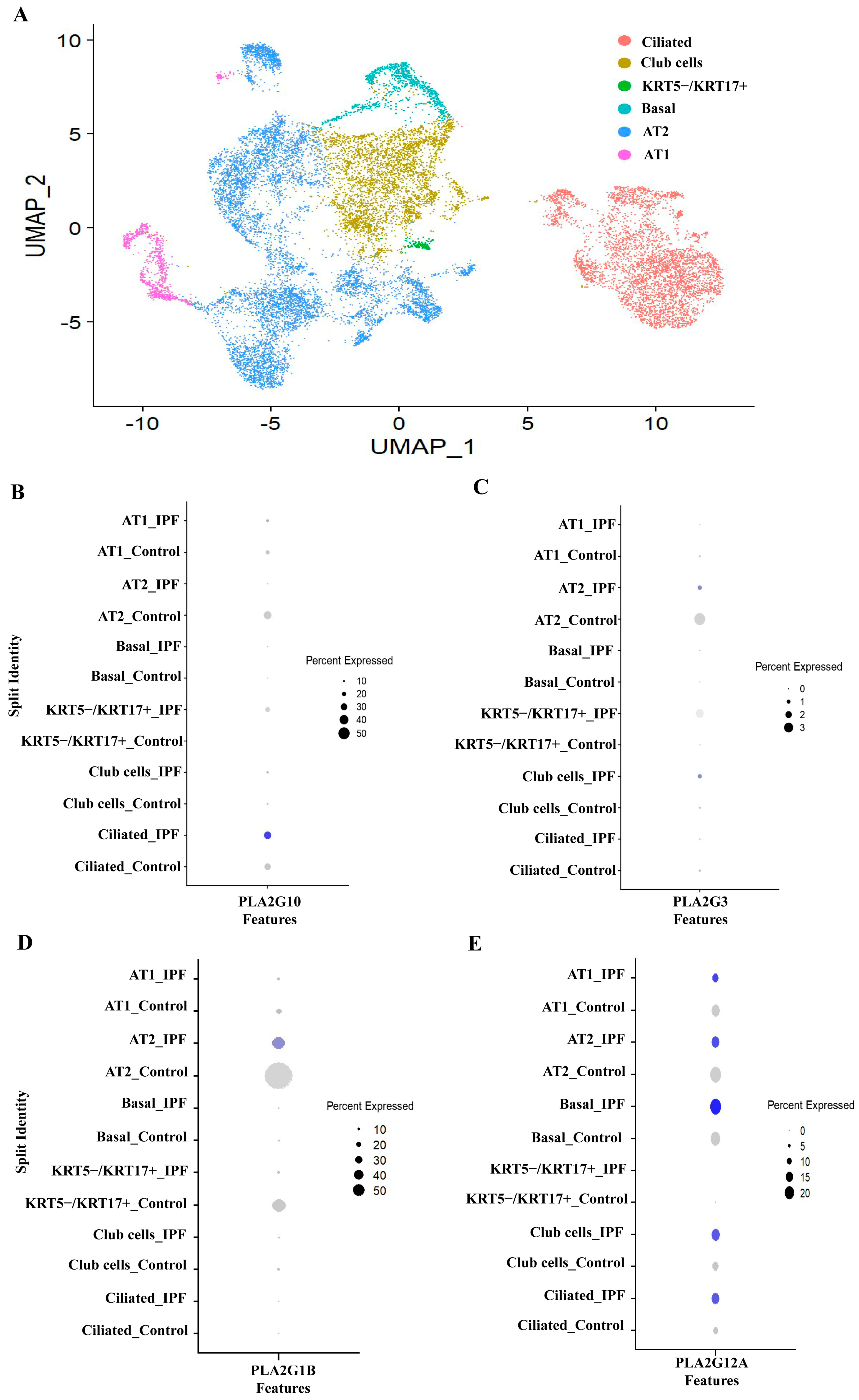 Cells 12 01044 g005 Cells 12 01044 g005