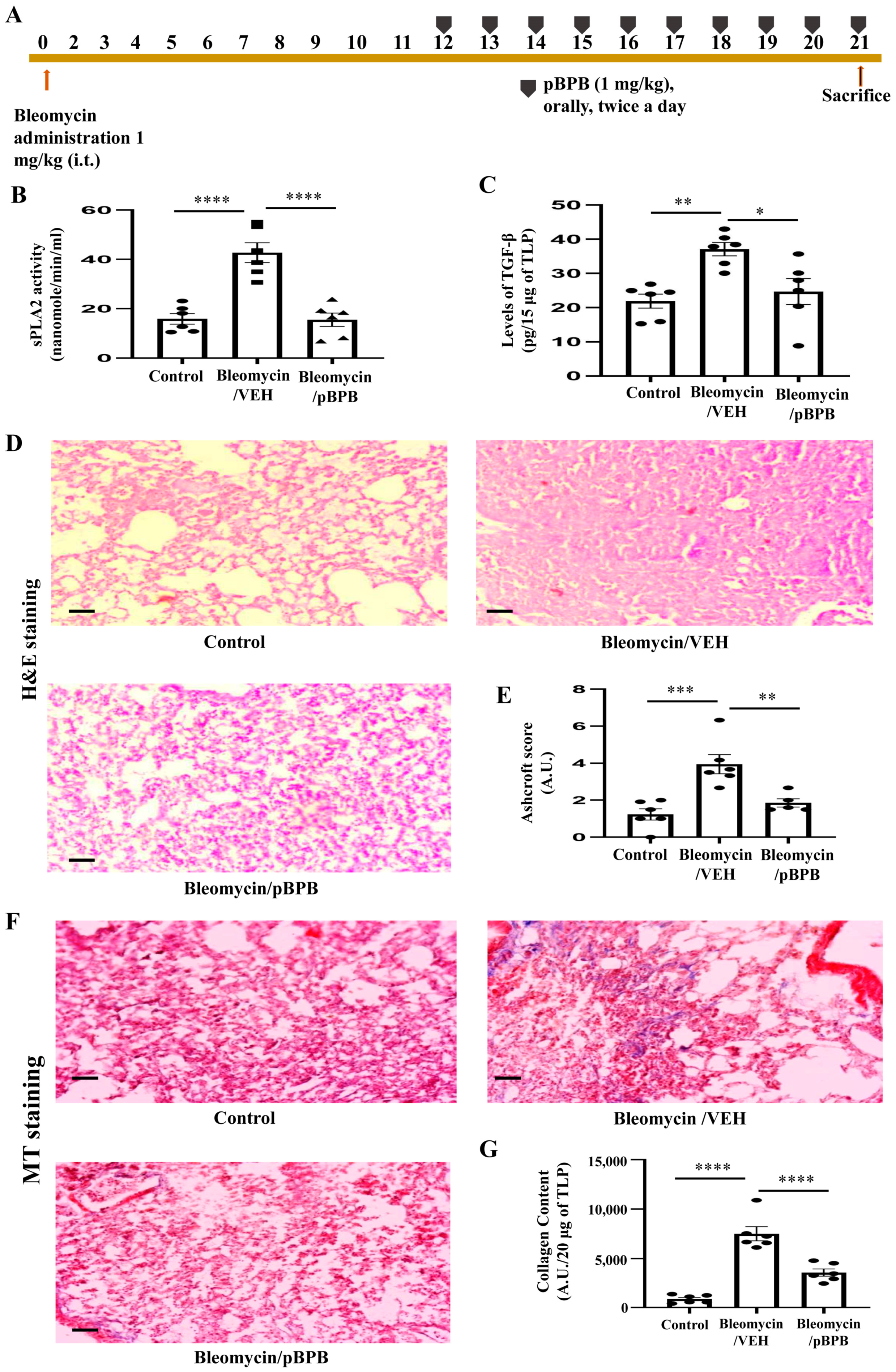 Cells 12 01044 g008 Cells 12 01044 g008