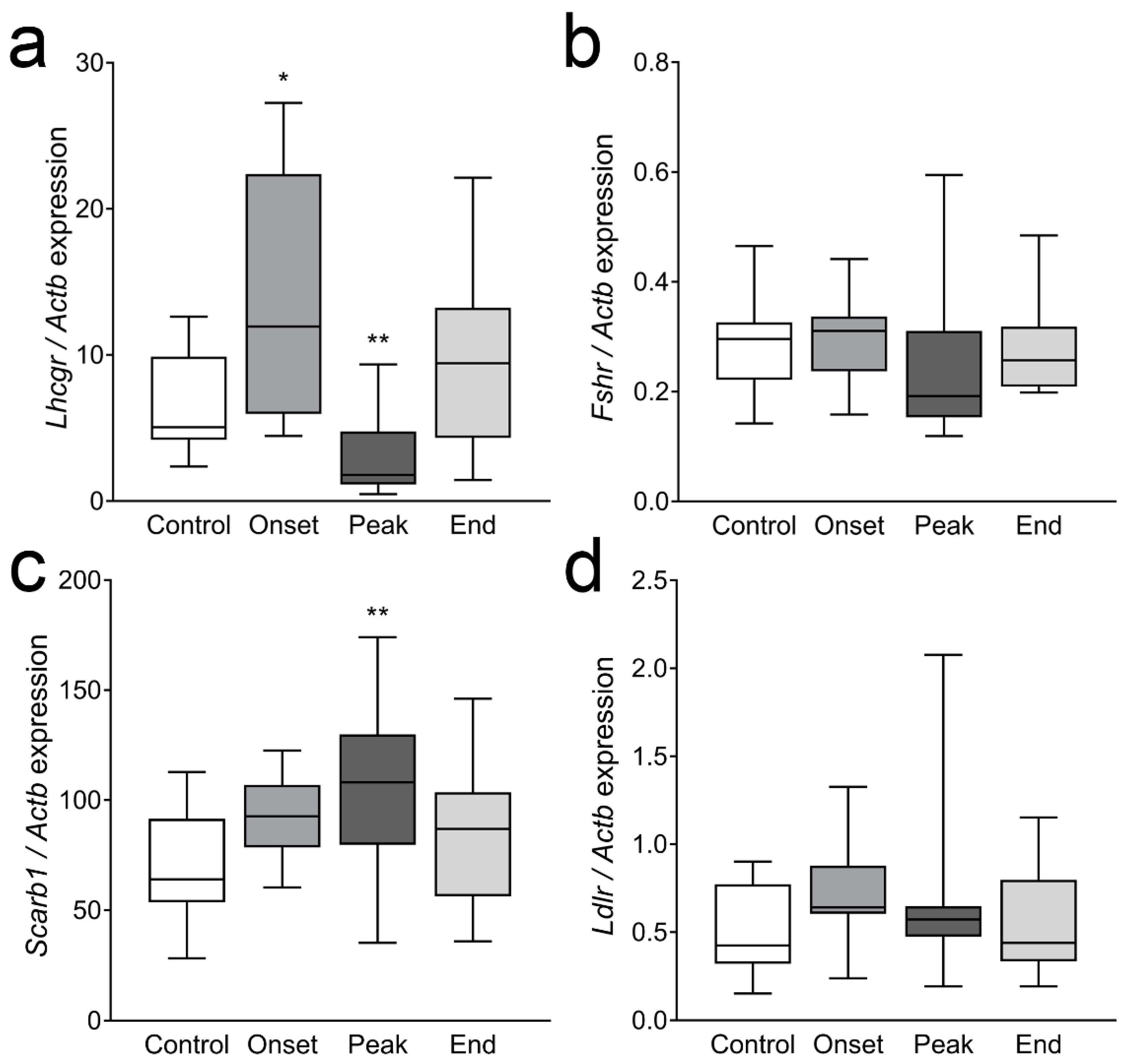 Cells 12 01045 g004 Cells 12 01045 g004