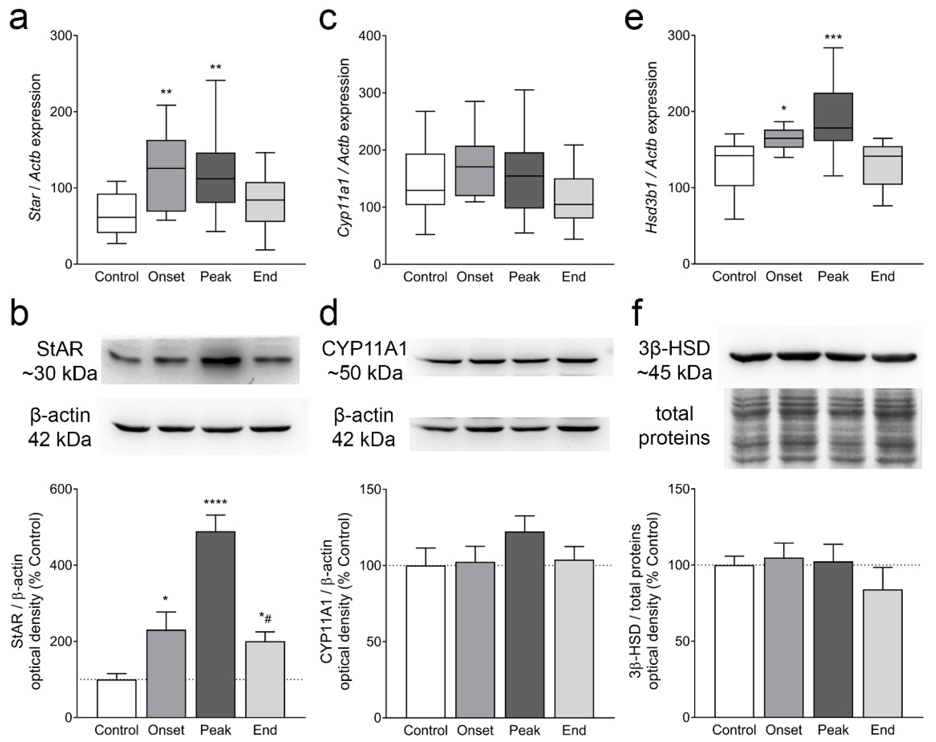 Cells 12 01045 g005 Cells 12 01045 g005