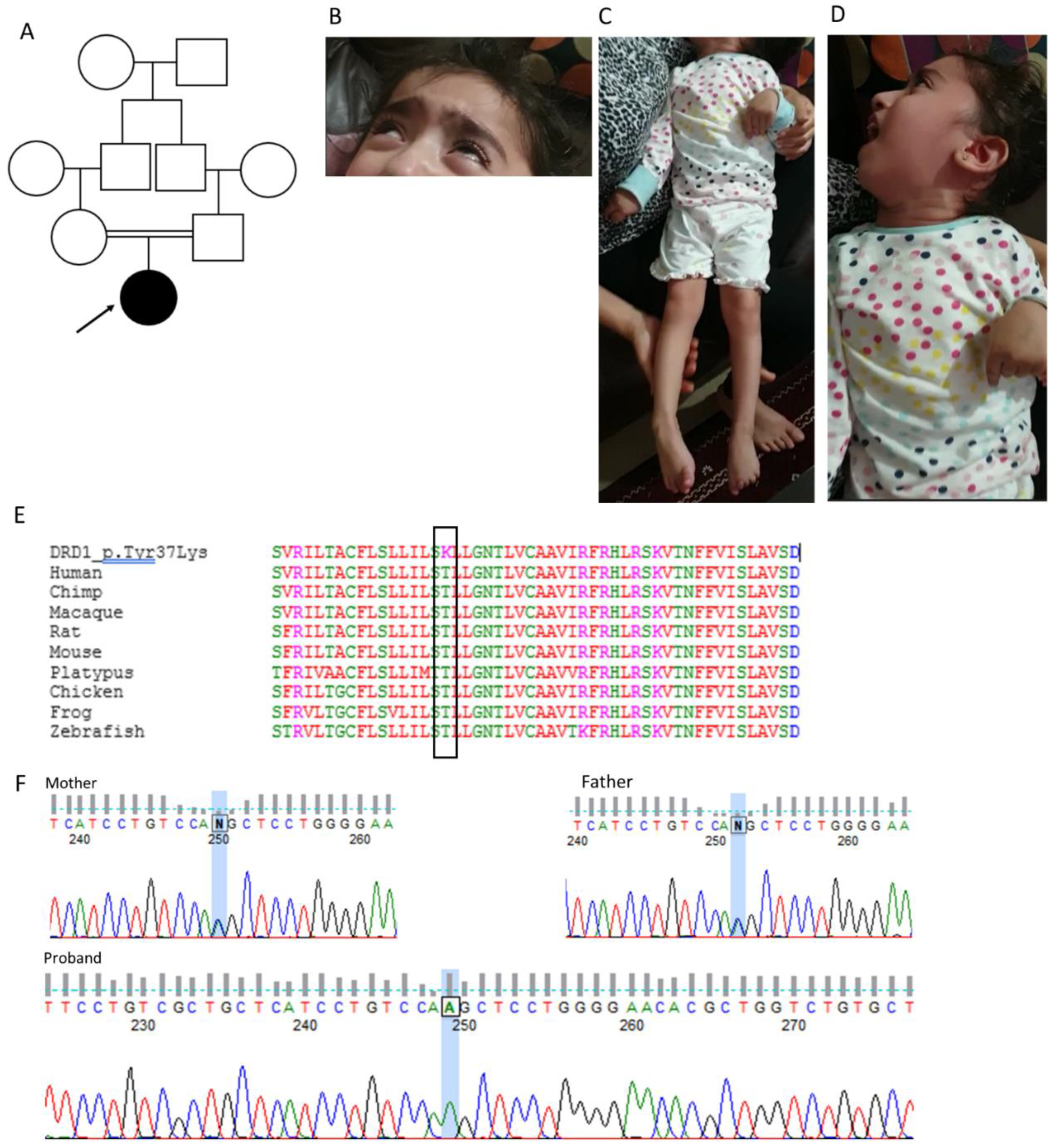 Cells 12 01046 g003 Cells 12 01046 g003