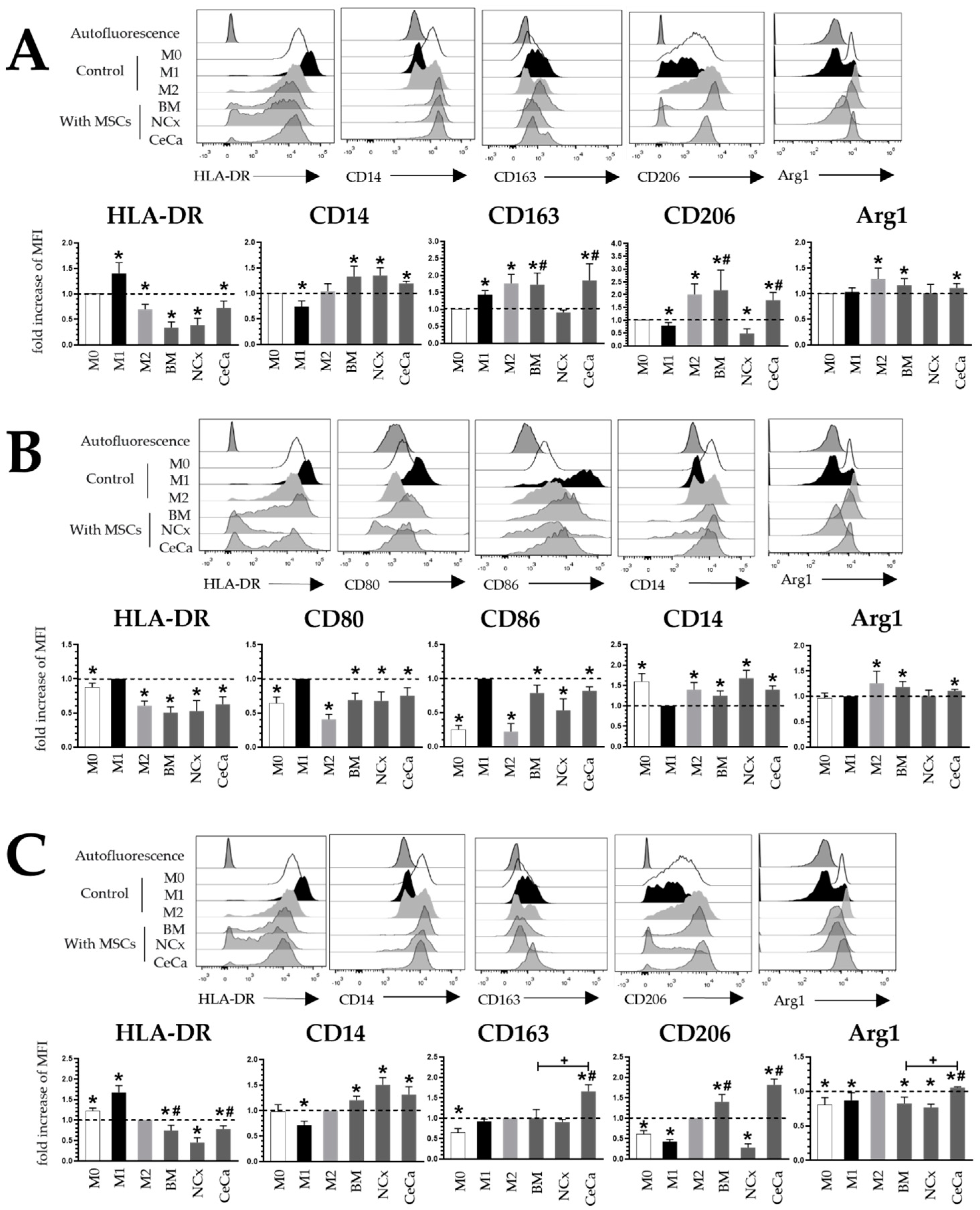 Cells | Free Full-Text | Mesenchymal Stem/Stromal Cells Derived