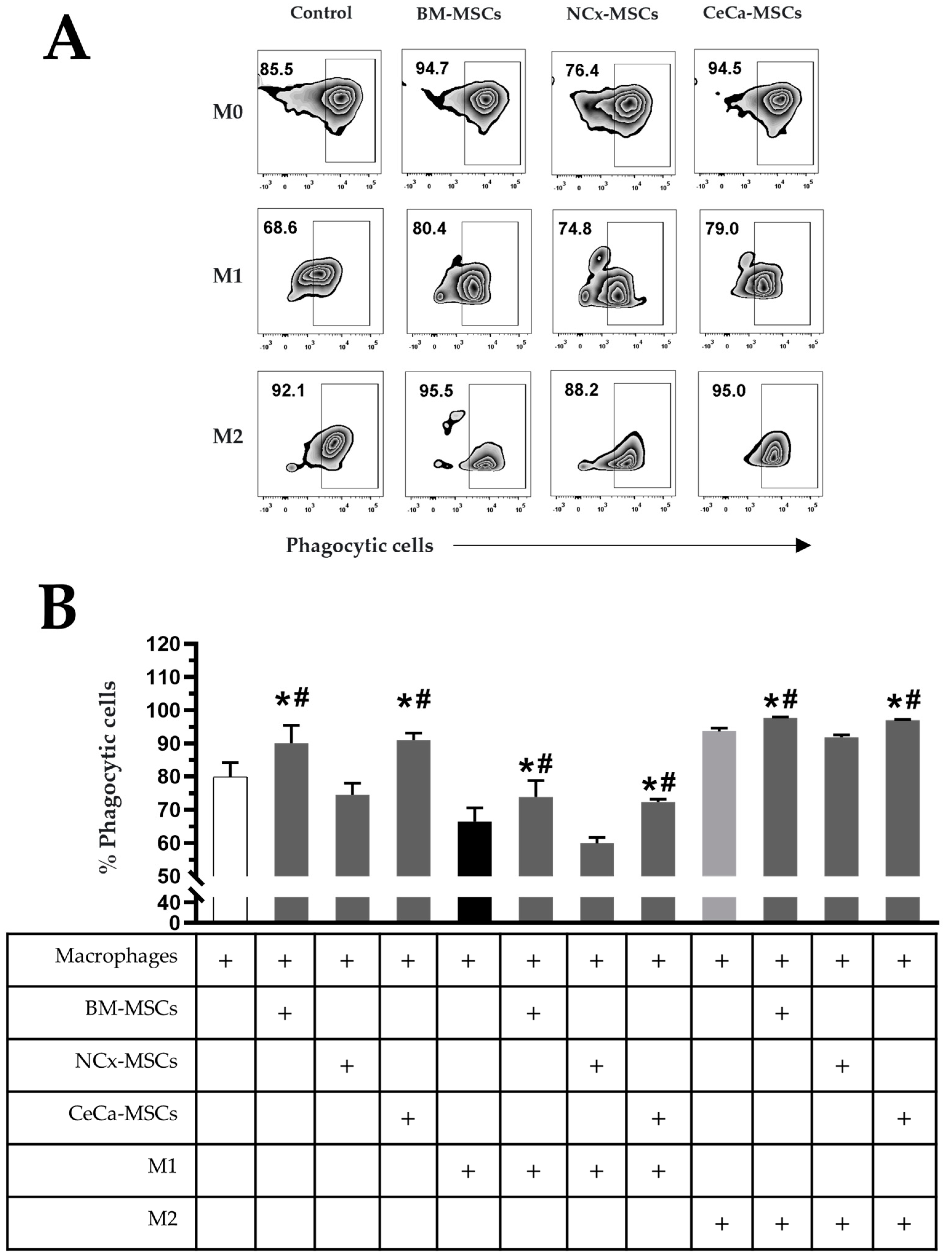 Cells 12 01047 g002 Cells 12 01047 g002