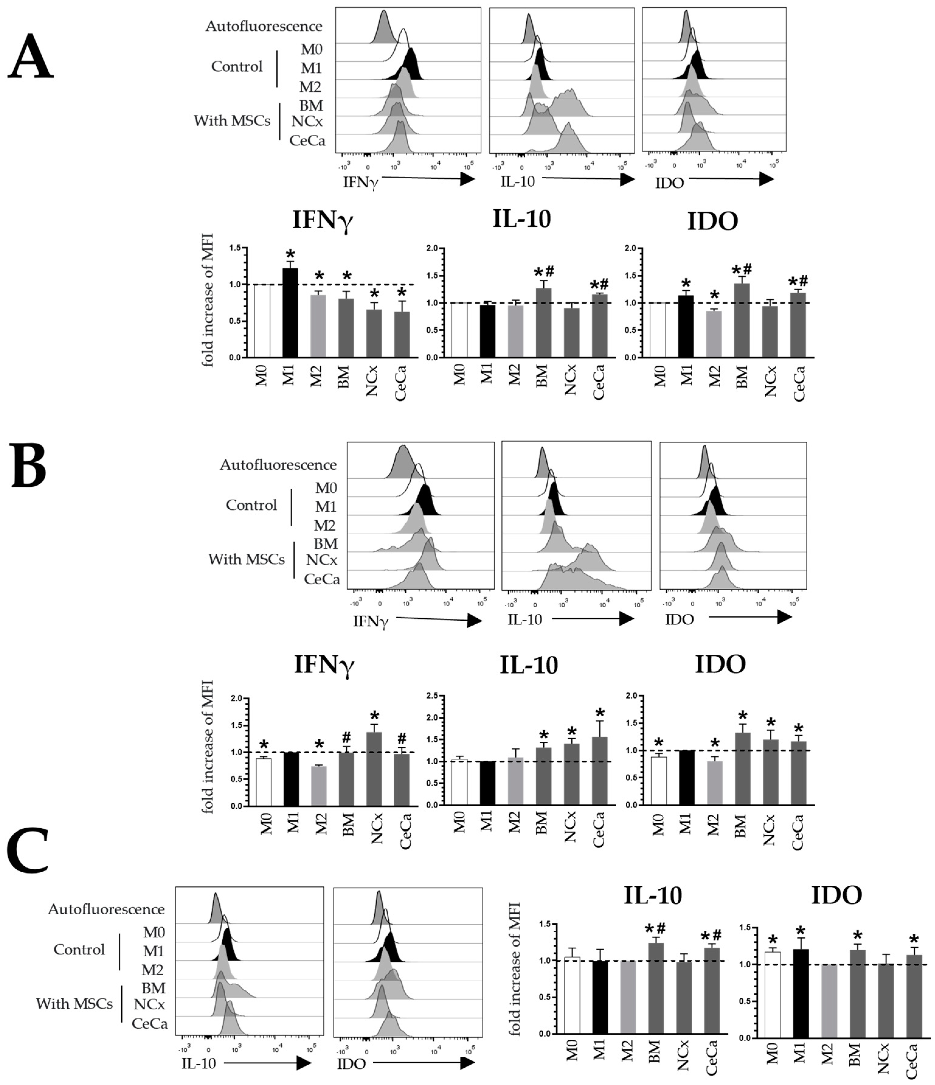 Cells 12 01047 g003 Cells 12 01047 g003