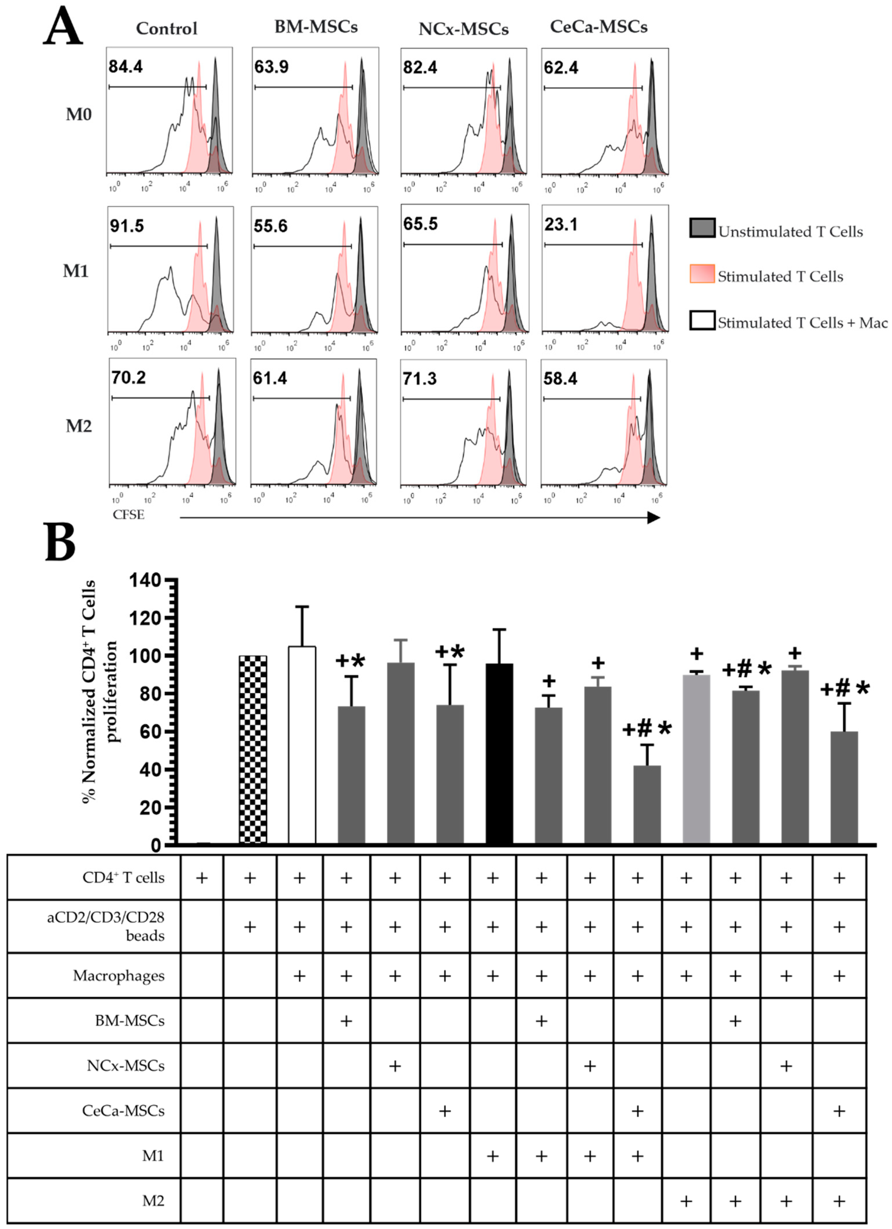 Cells 12 01047 g004 Cells 12 01047 g004