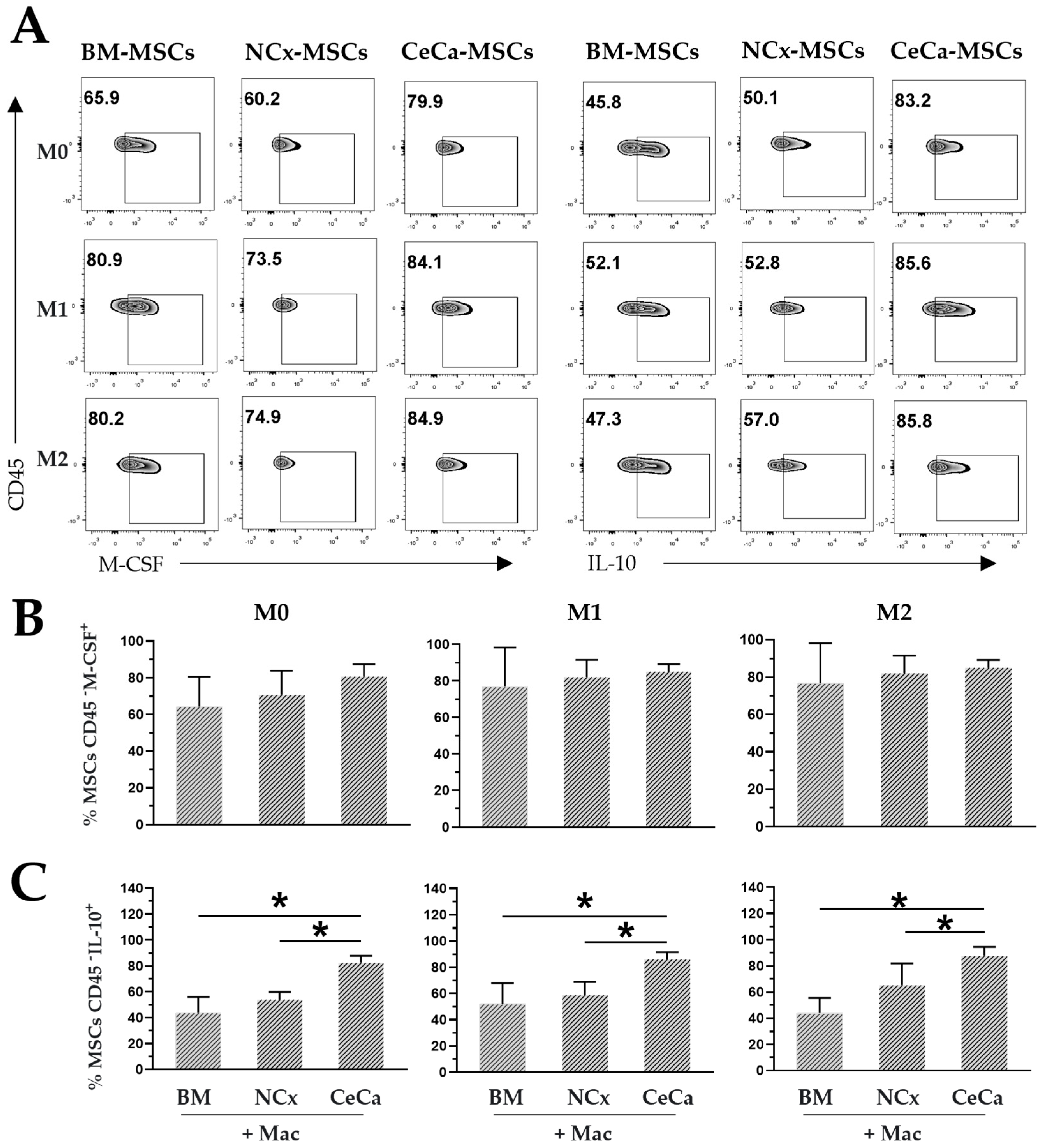 Cells 12 01047 g007 Cells 12 01047 g007