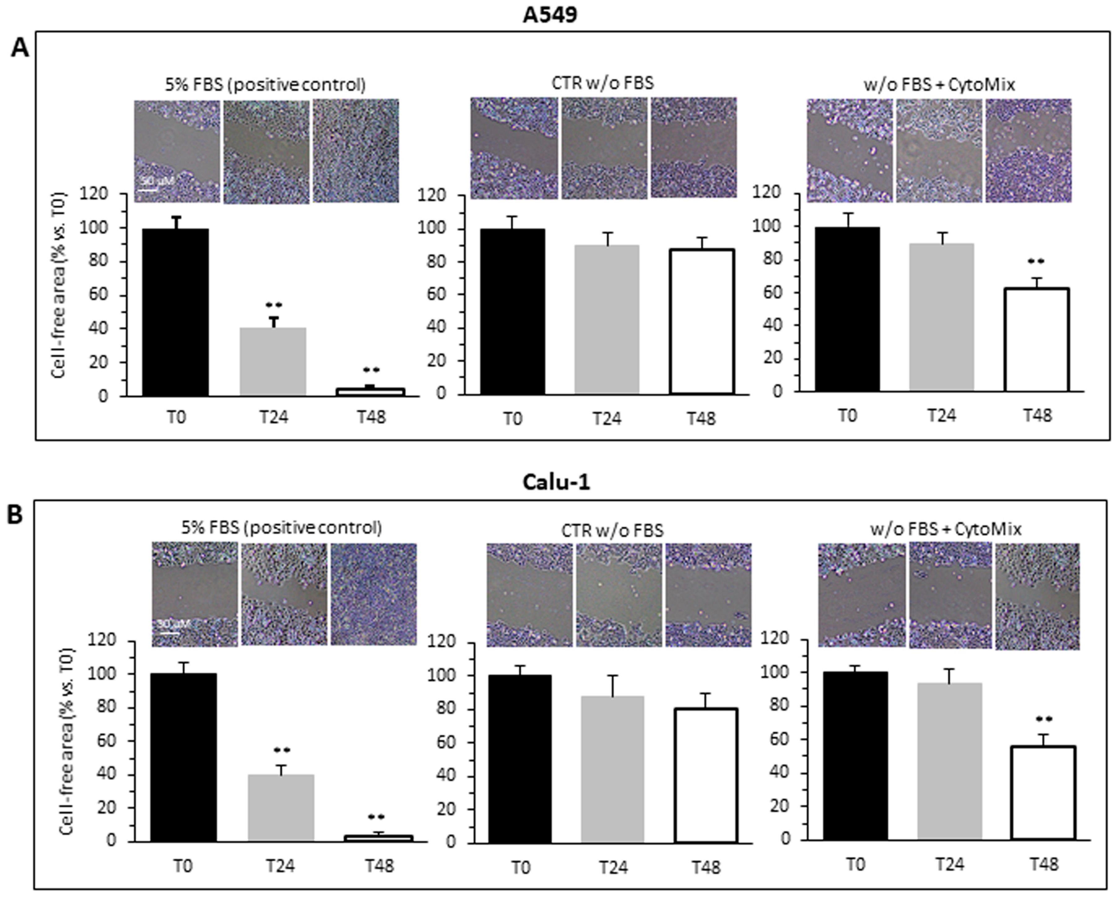 Cells 12 01048 g001 Cells 12 01048 g001