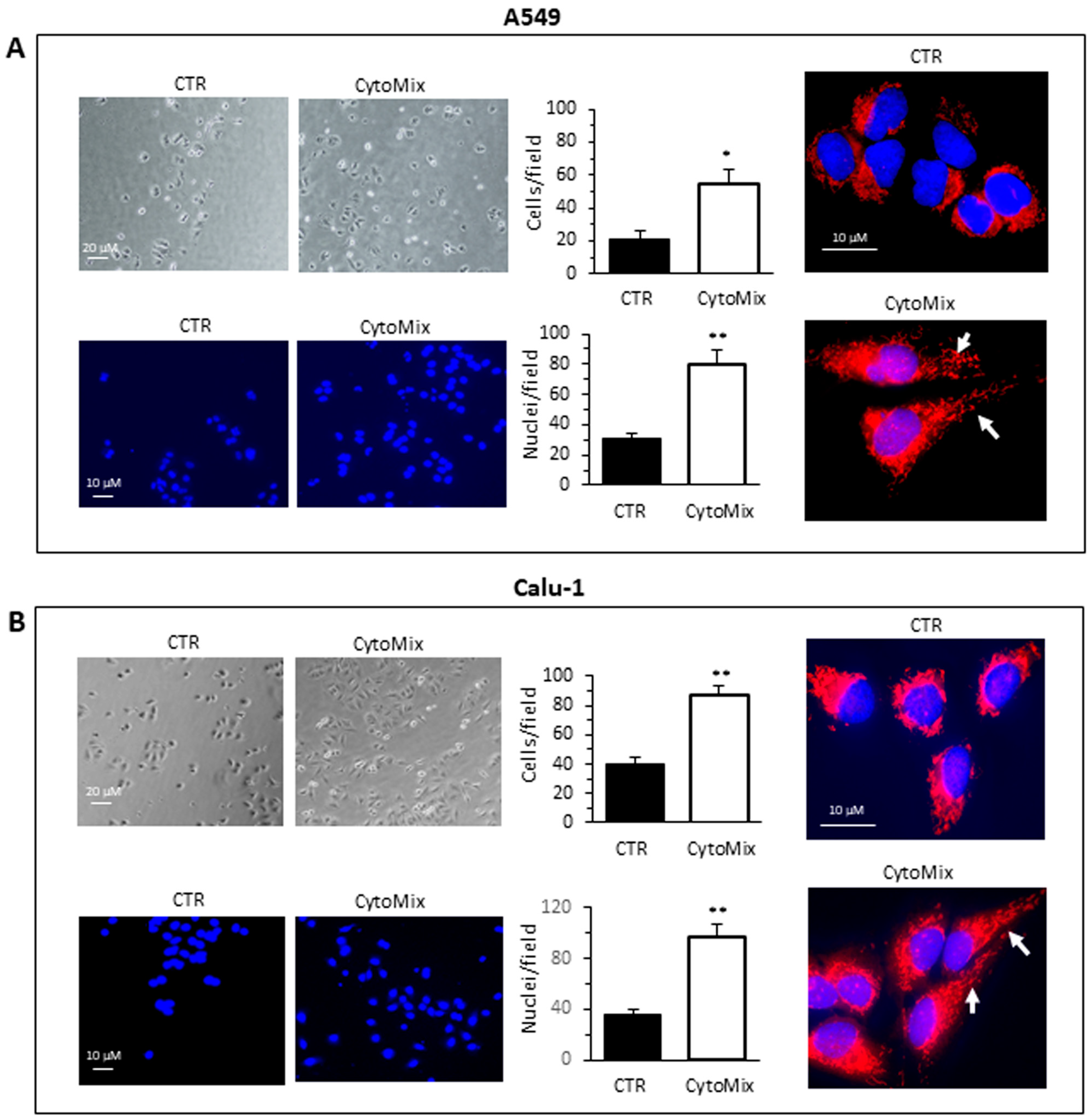 Cells 12 01048 g002 Cells 12 01048 g002
