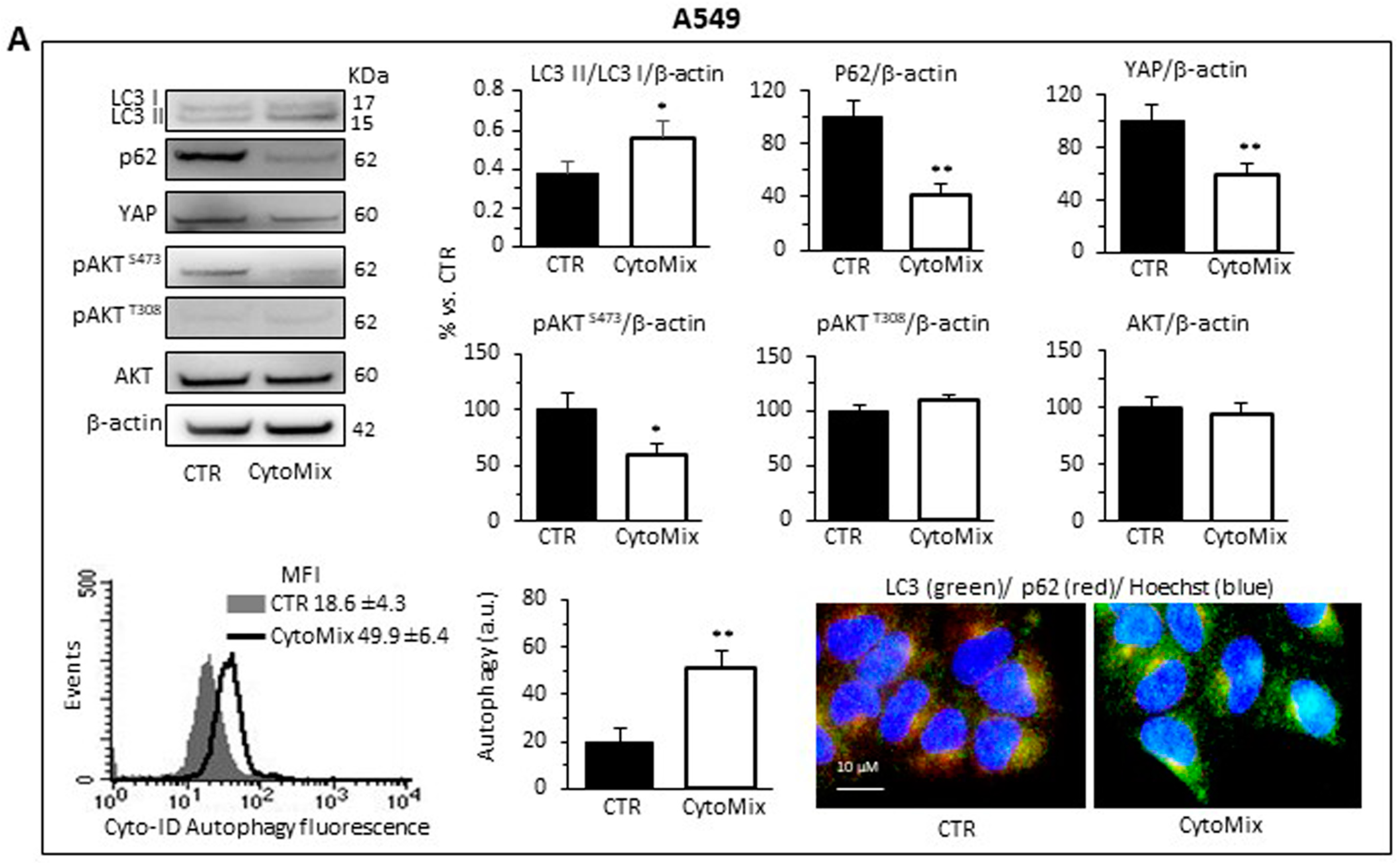 Cells 12 01048 g005a Cells 12 01048 g005a